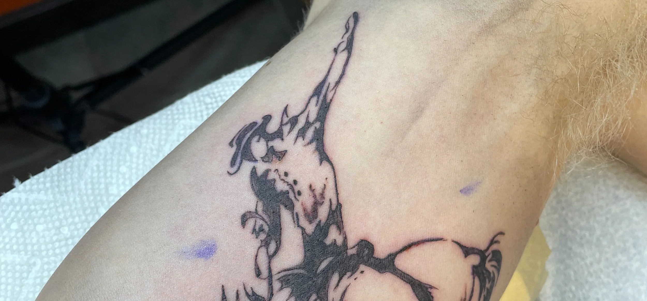 breaking a bronco no.2