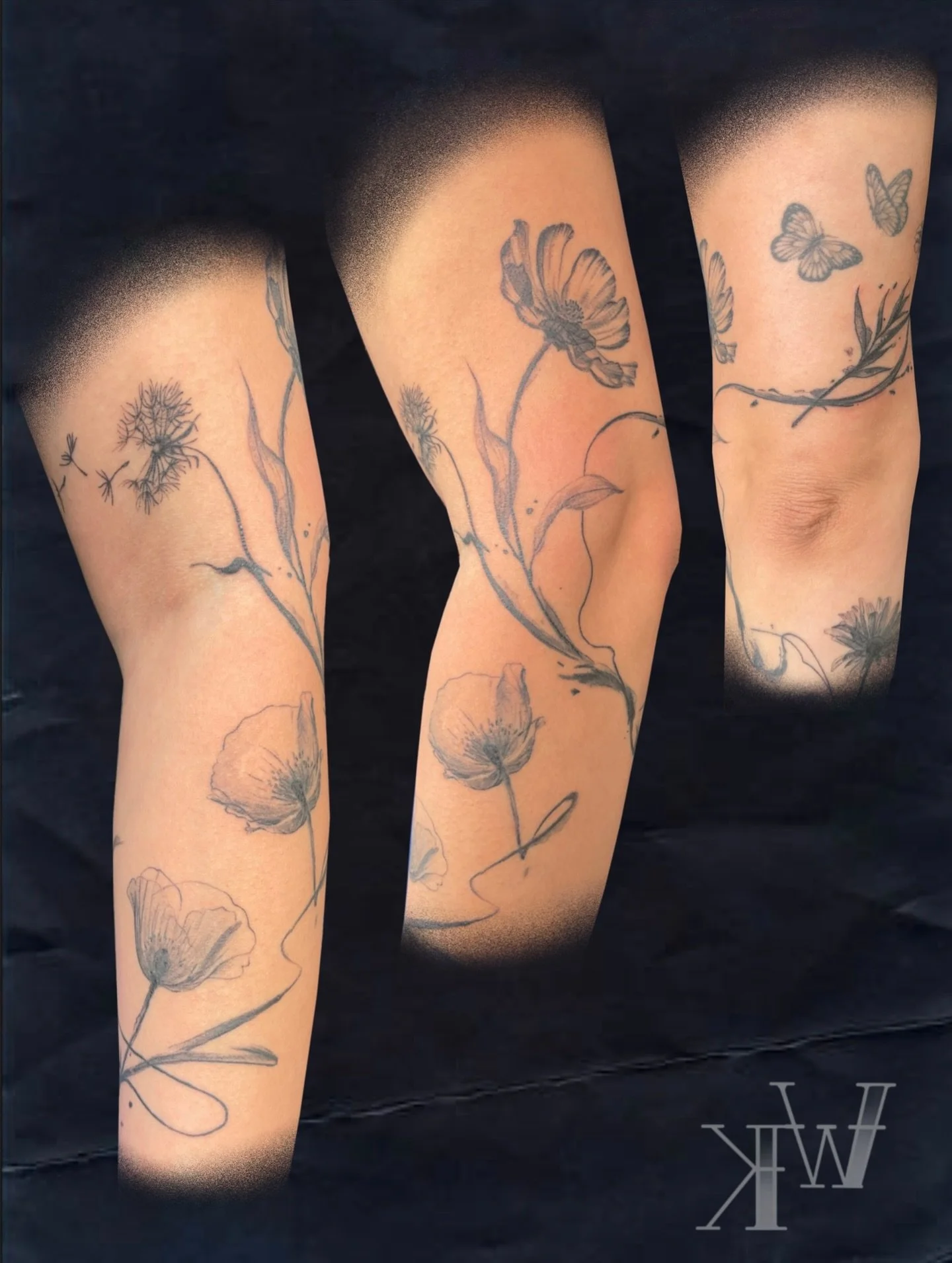 Some Fine-line flowers in X-Ray light 
@amya.gomez 🩻 🌸🖋️