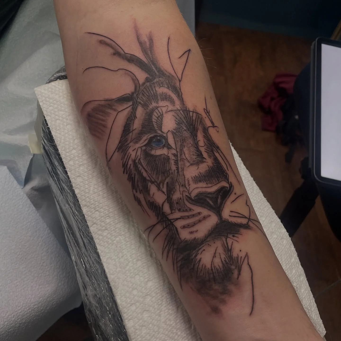 Fun one for a forearm, can&rsquo;t wait to see the grey wash when it&rsquo;s healed!
&bull;
&bull;
&bull;
&bull;
#liontattoos #blackngrey