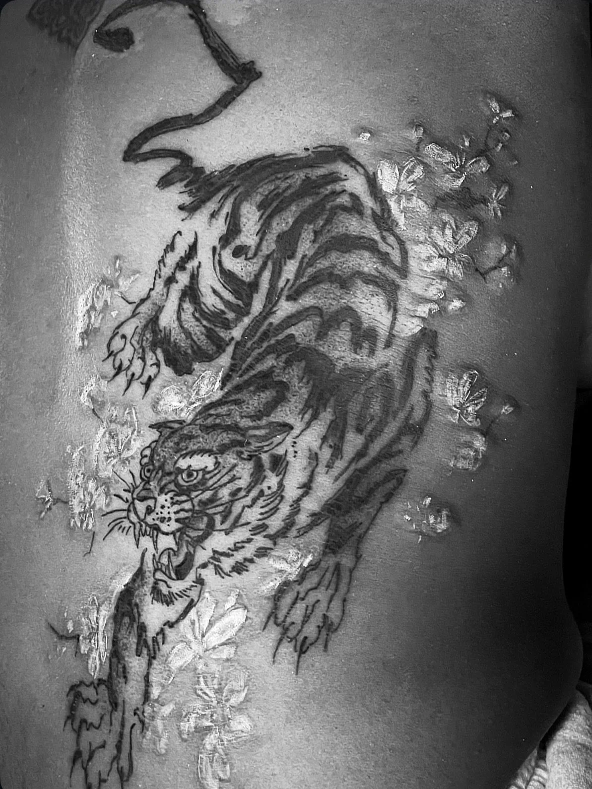 Stylized Tiger in an ink brush style for @tbrown96! Can&rsquo;t wait to get some healed pics and watch the highlights settle in. #crazycatlady 🐯