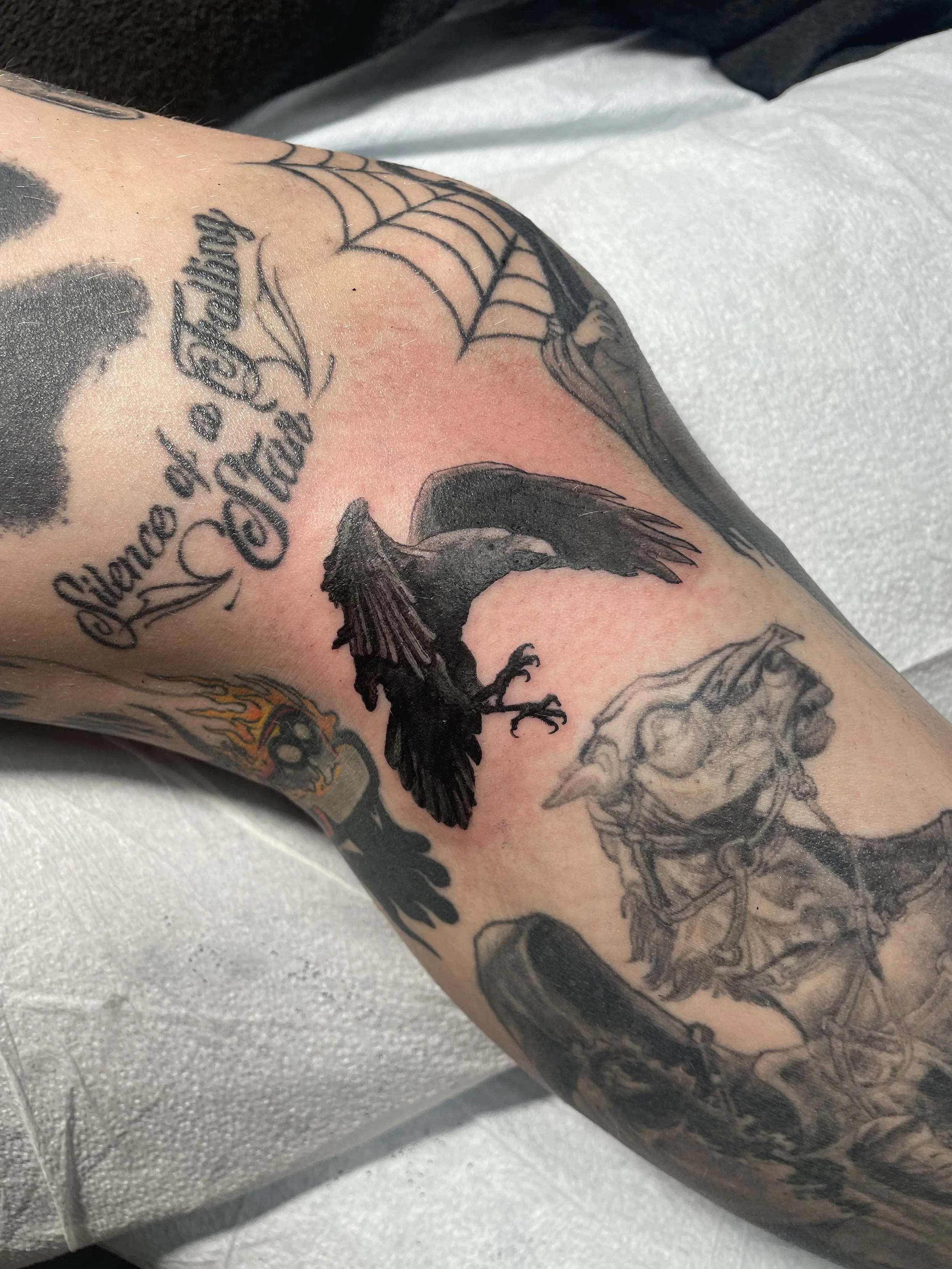 Photo Feb 04 2024, 3 05 11 PM.jpg