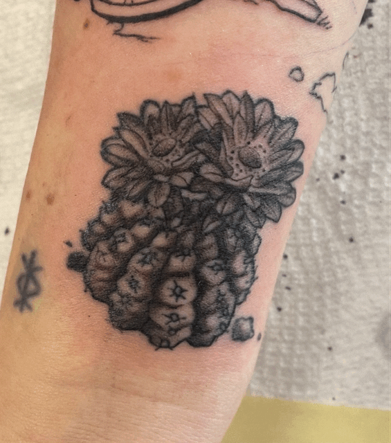 Photo Jan 13 2025, 6 17 39 PM.gif