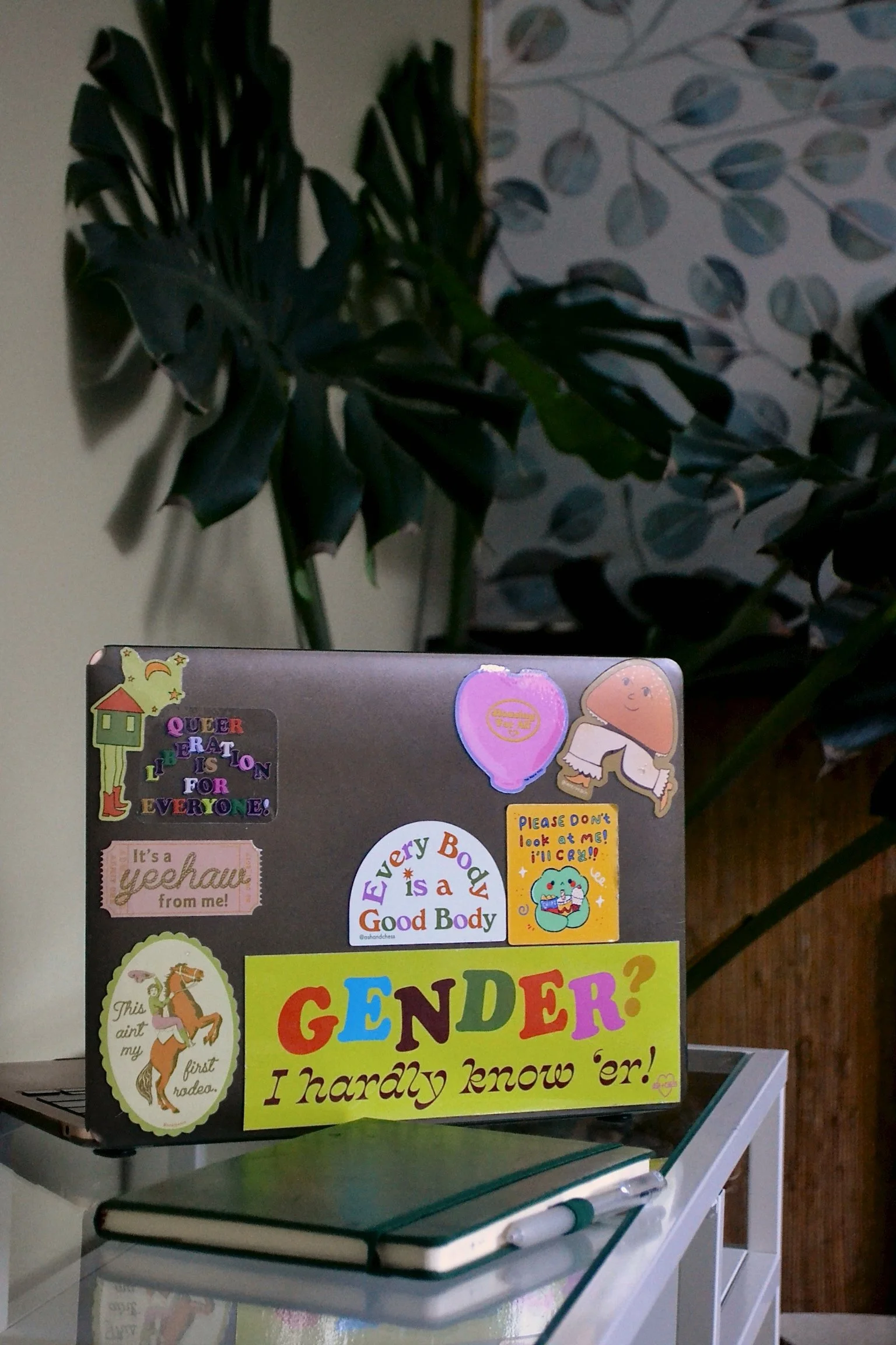 On a glass table sits a green notebook, and a laptop with colorful stickers related to queer liberation and other social issues. Behind it, there is a large monstera plant.