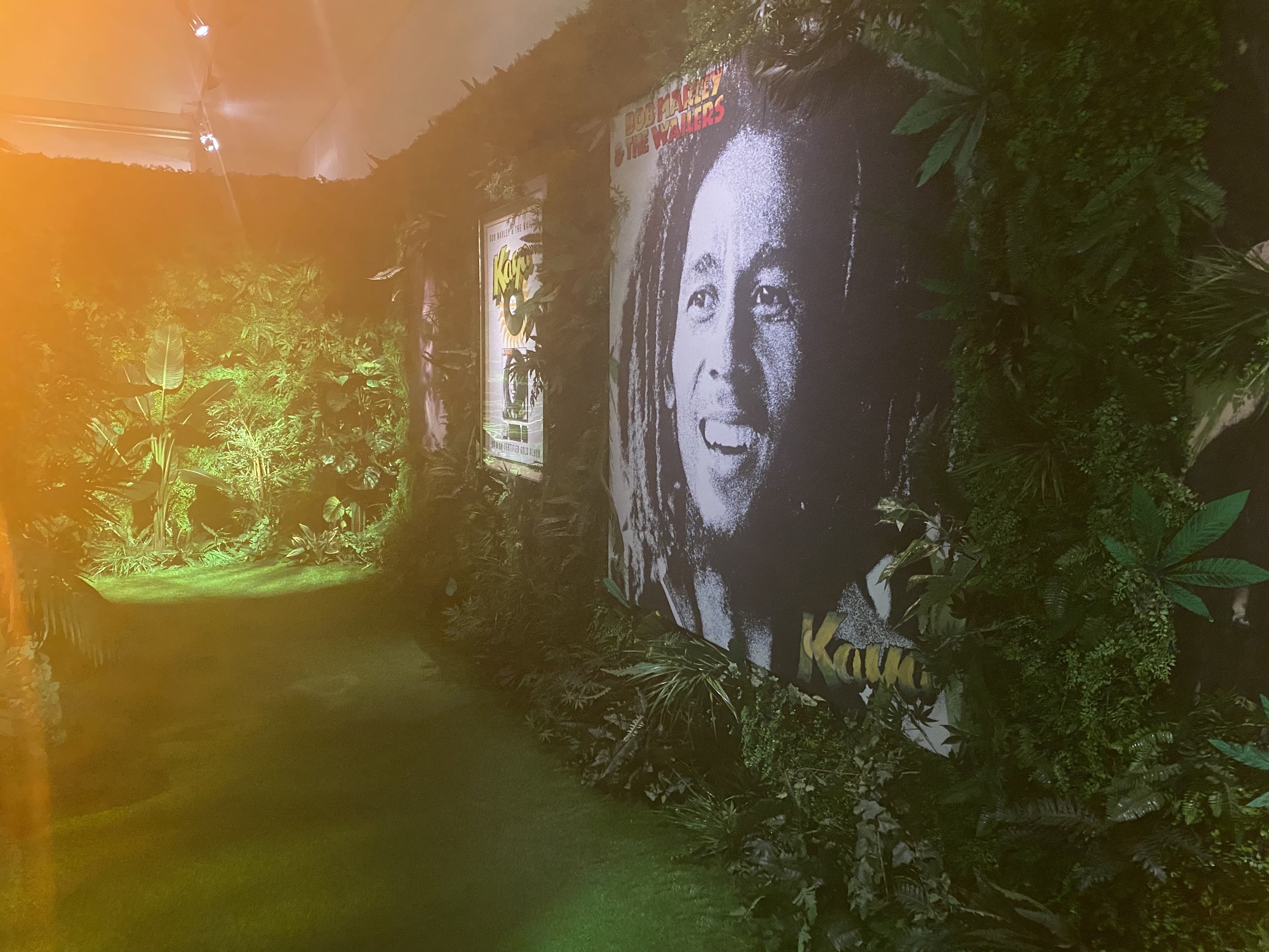 Bob Marley, Saatchi Gallery-12 copy.jpg