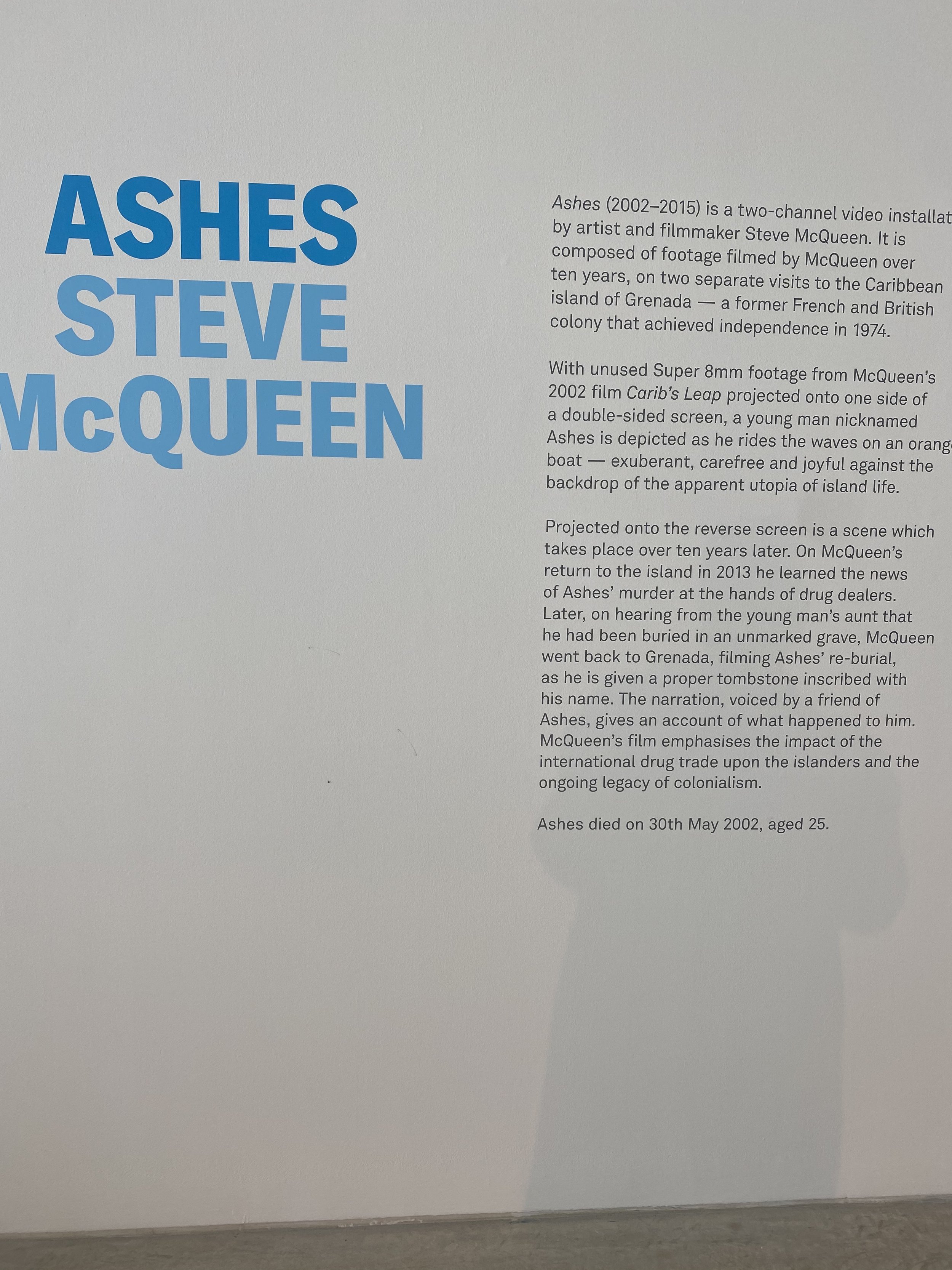 Ashes, Steve McQueen copy.jpg
