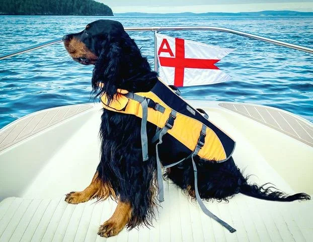 Aiden boat August 24.jpg