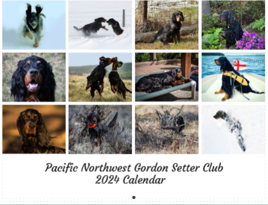2024 Pacific Northwest Gordon Setter Club Calendar
