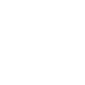 Brand Strategy / Creative Direction