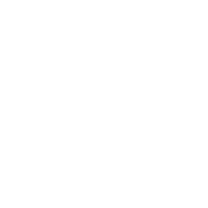 Campaign-Agent.png