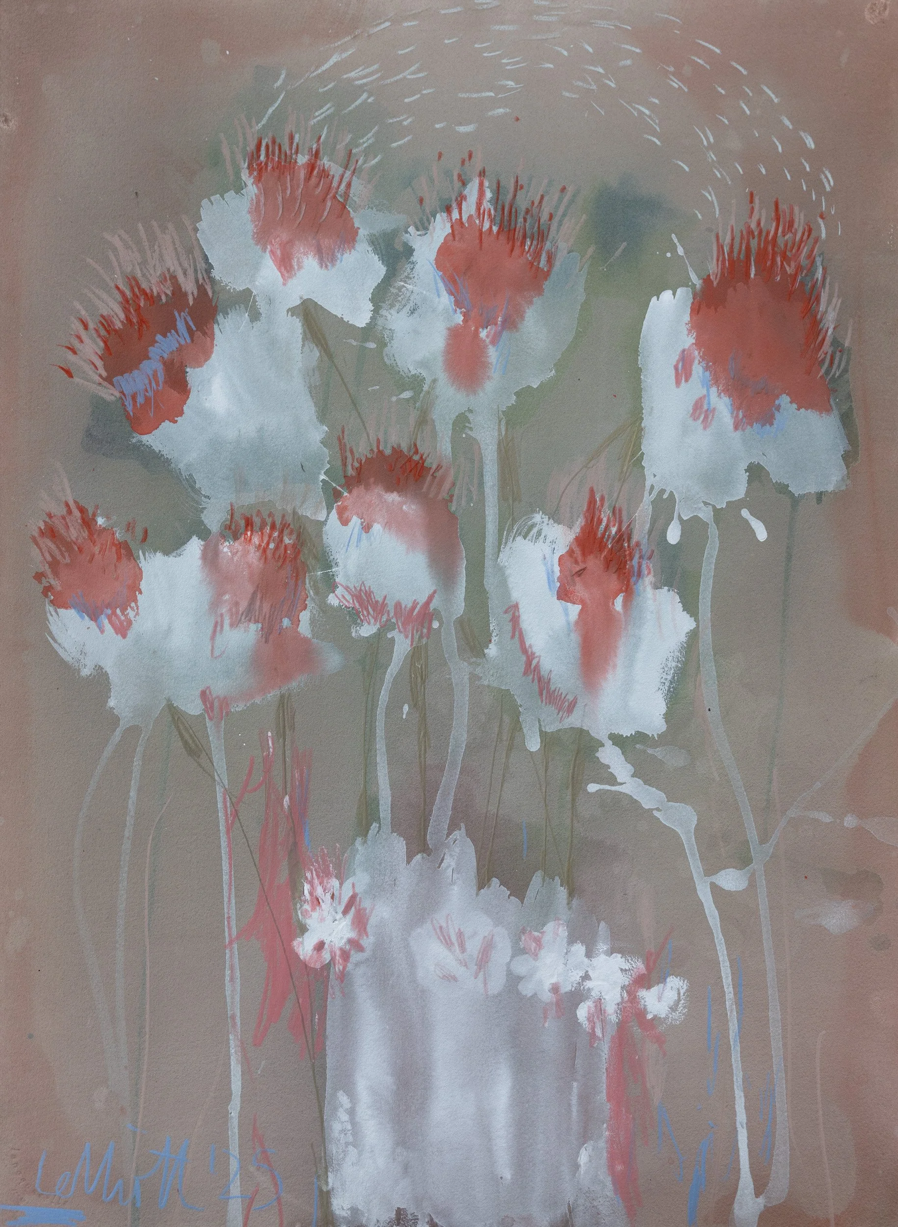 Red and White Flowers