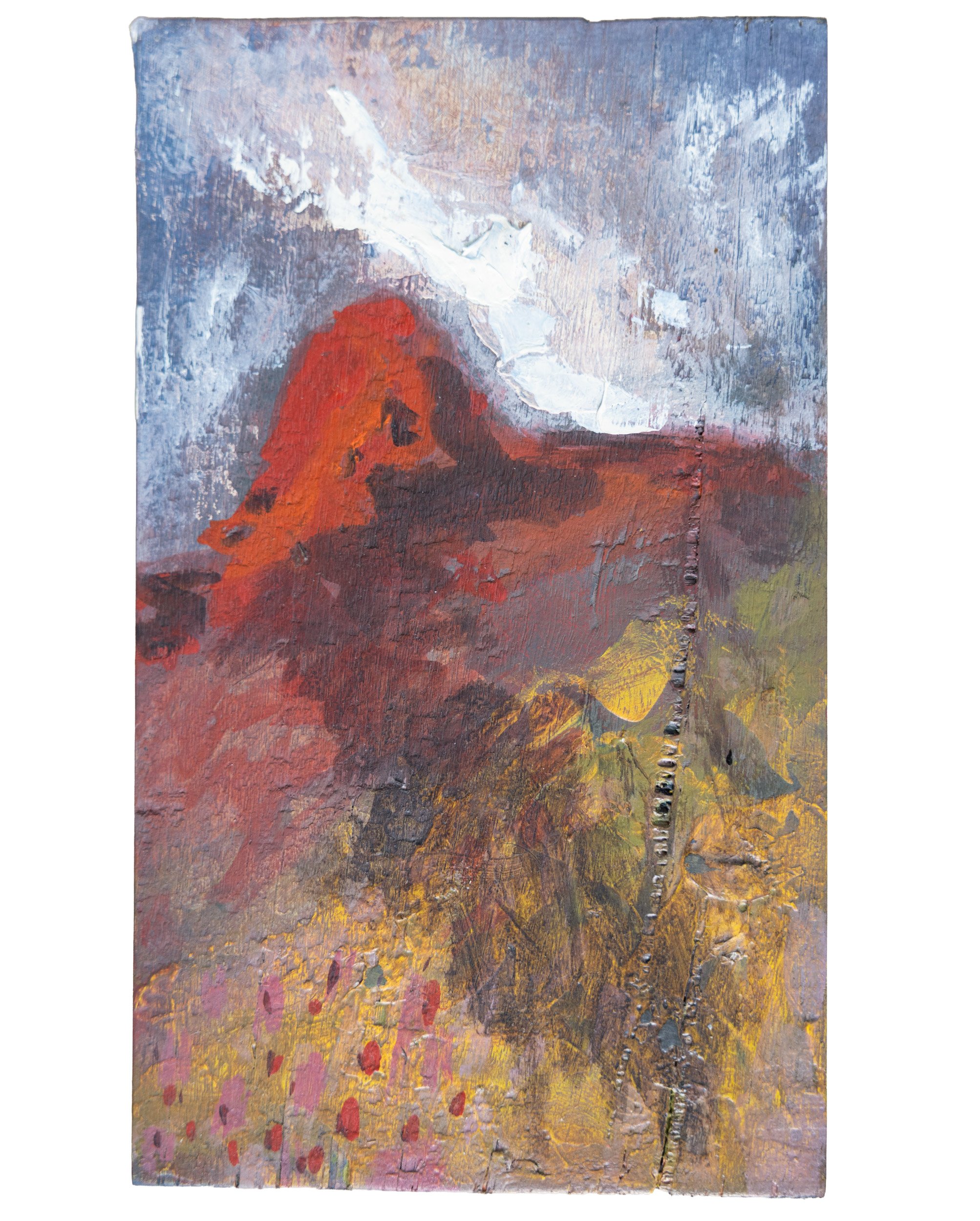 Gammon Ranges, After Storm