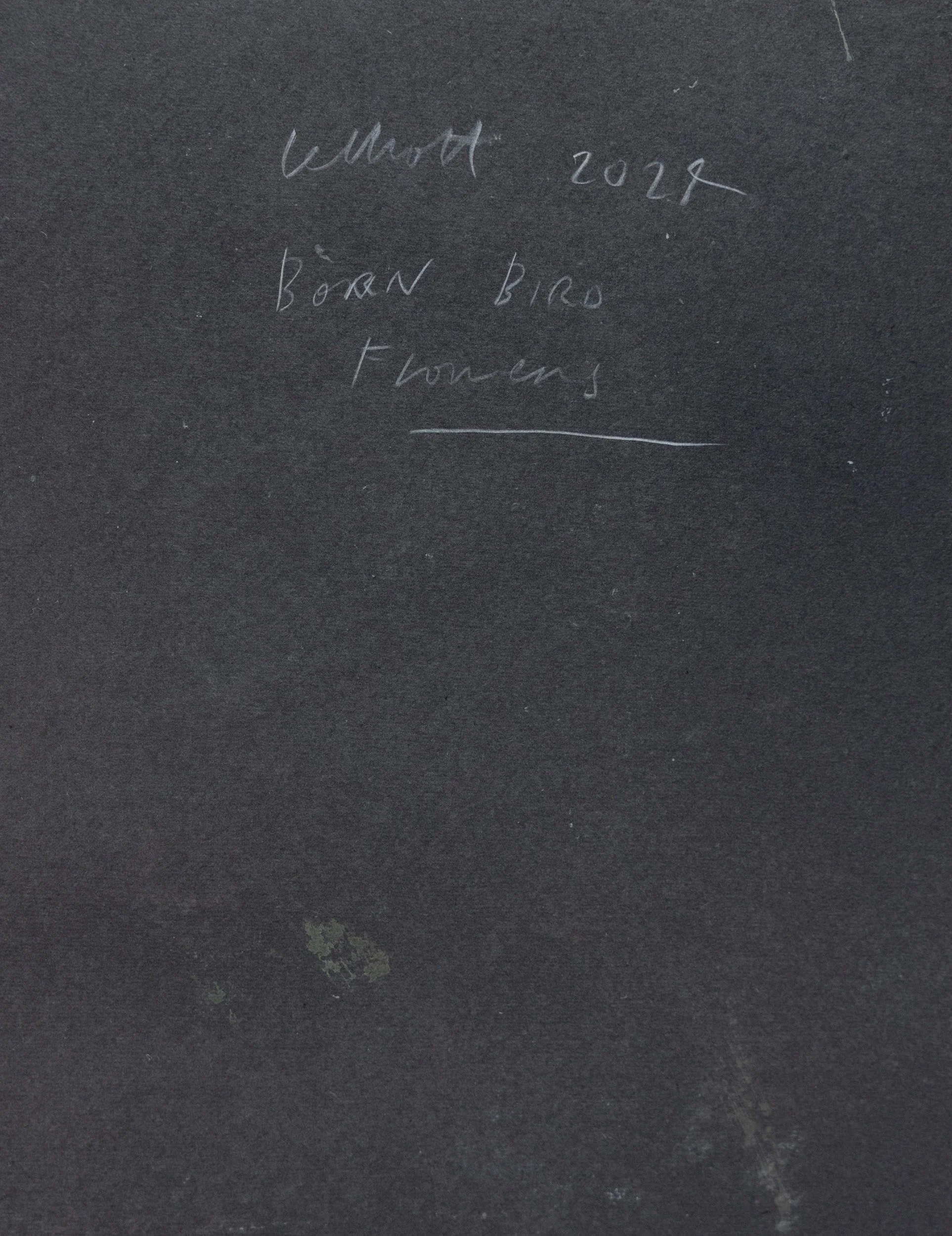 Lelliott Born Bird-1.jpg