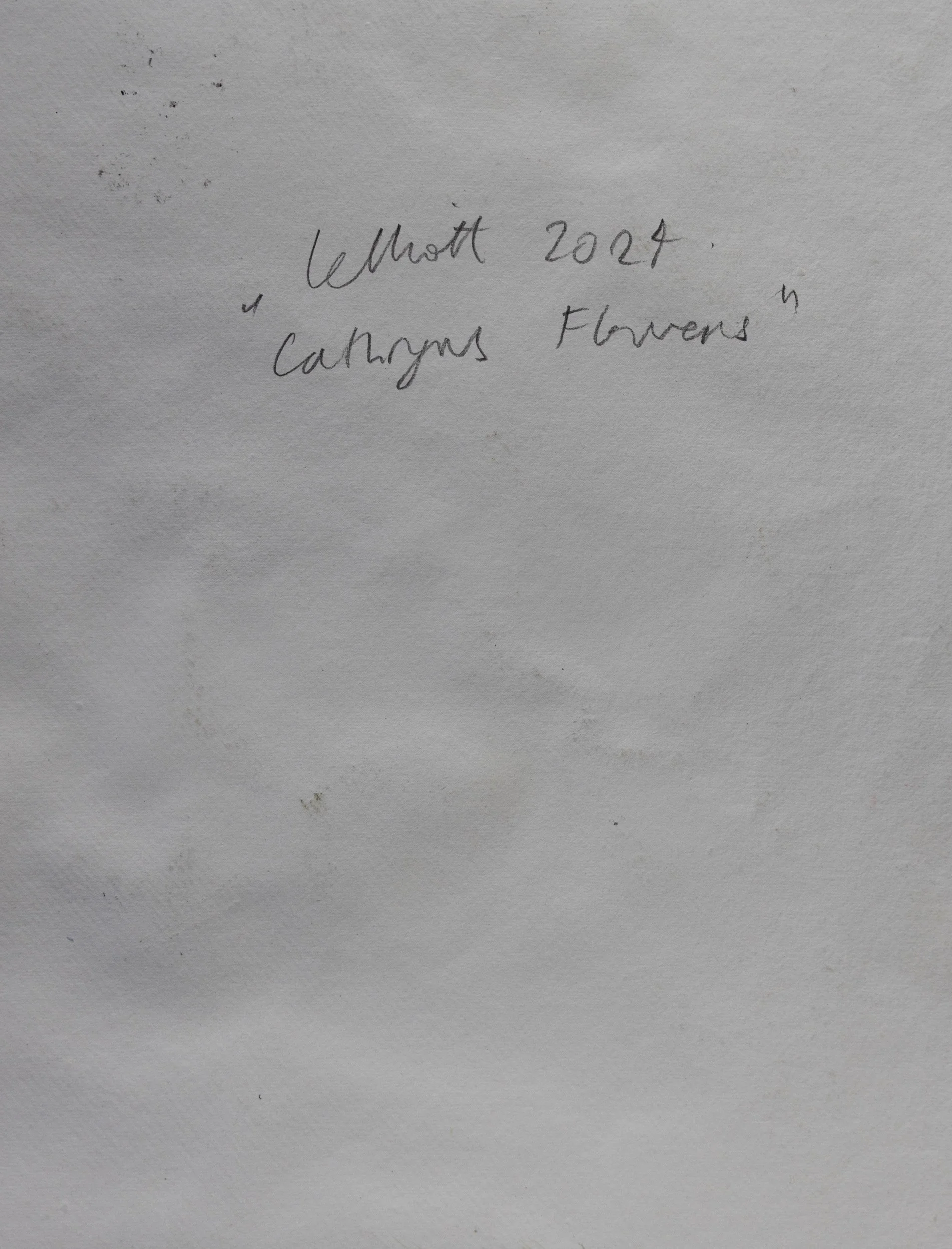 Lelliott Cathryn Flowers-1.jpg
