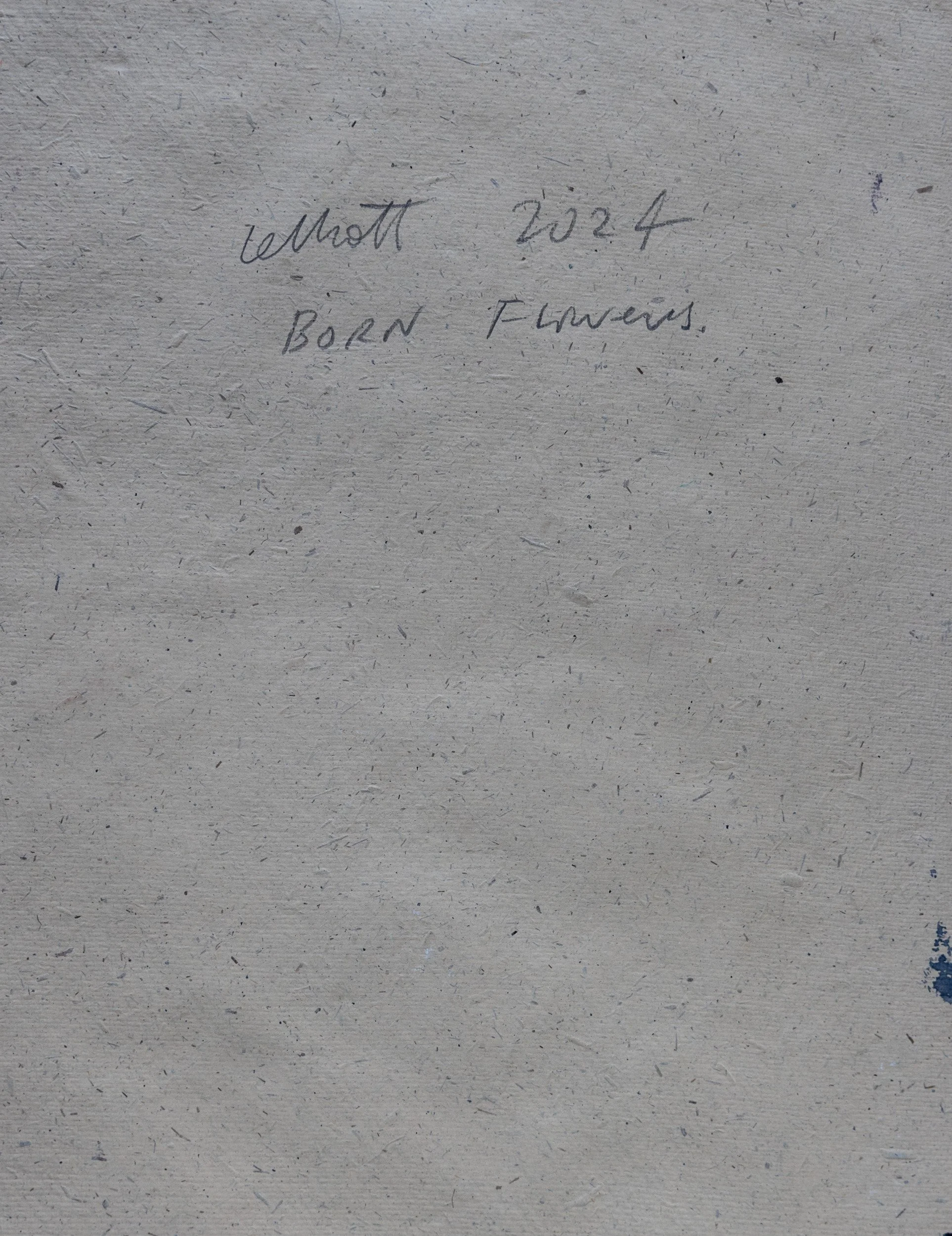 Lelliott Born Flowers-1.jpg