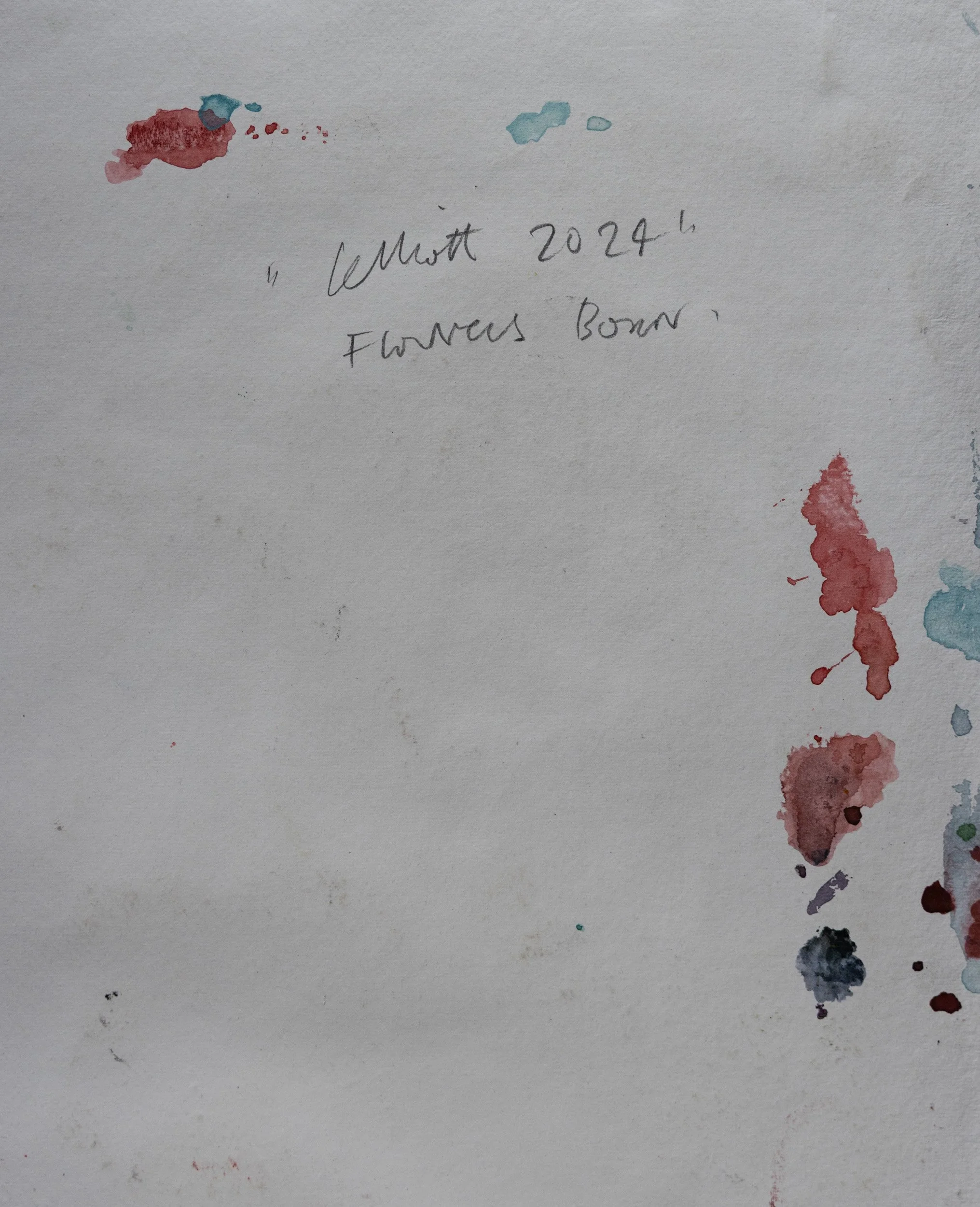 Lelliott Flowers Born-1.jpg
