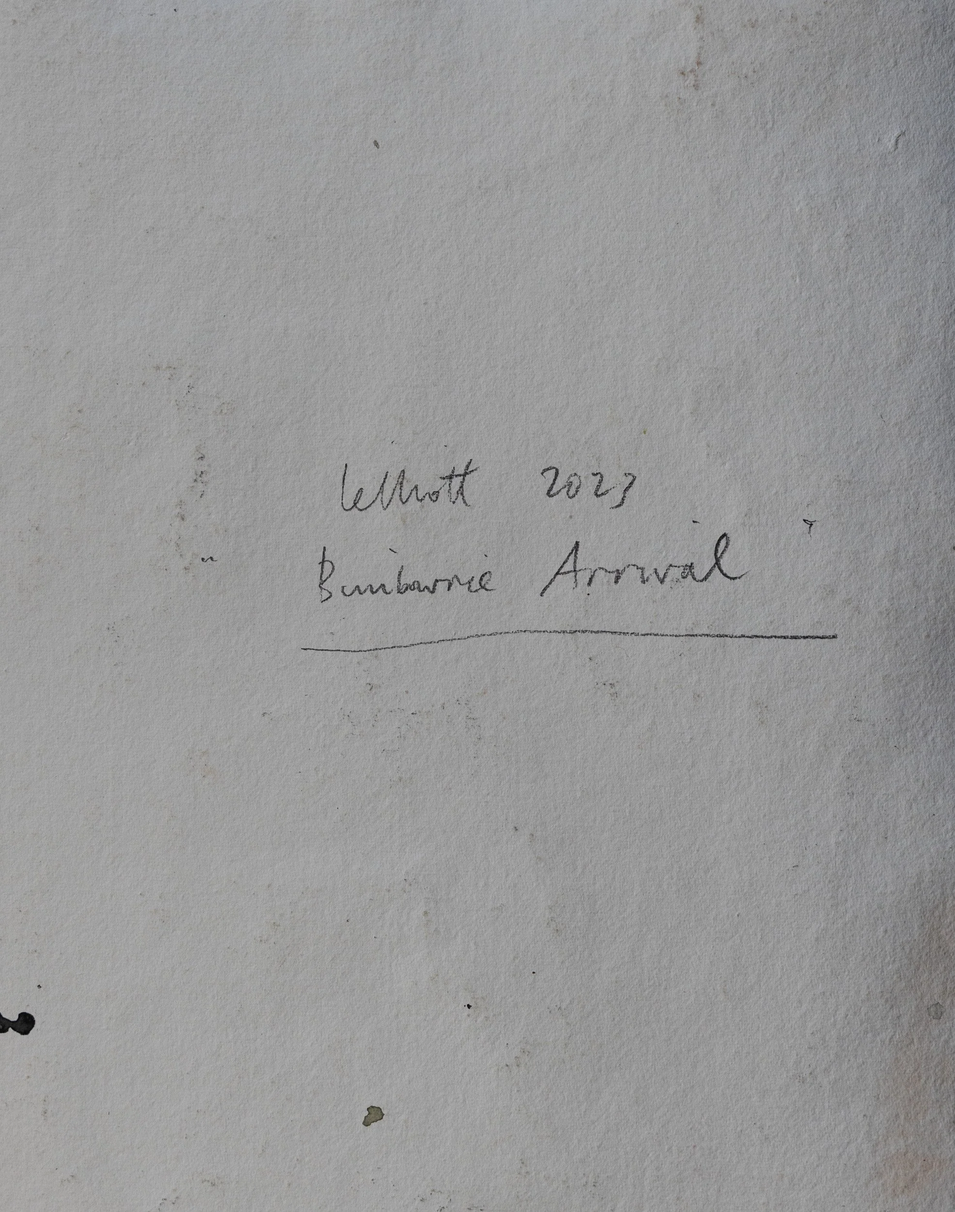 Lelliott Bimbowrie Arrival-1.jpg