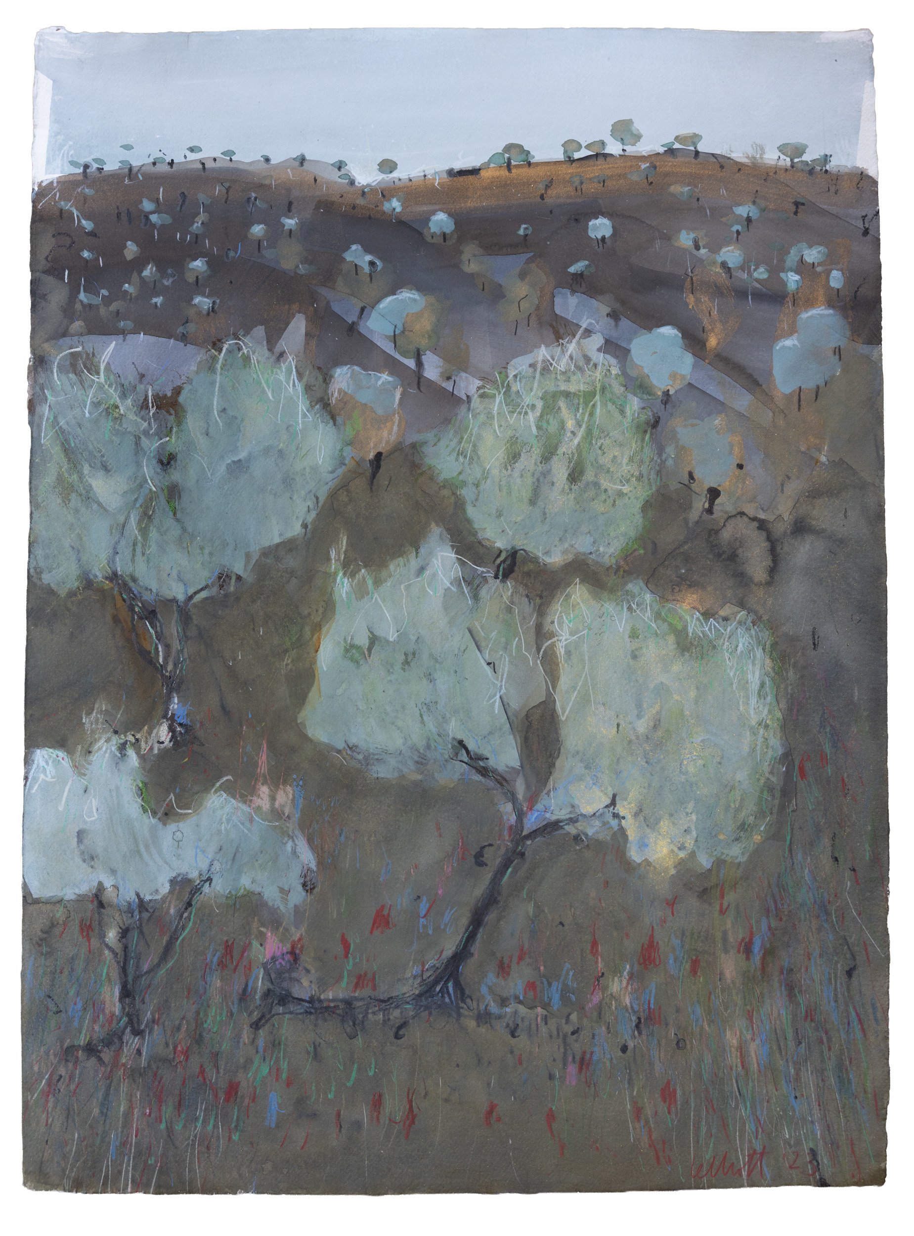 Lelliott Mutawintji Gold Dawn-2.jpg