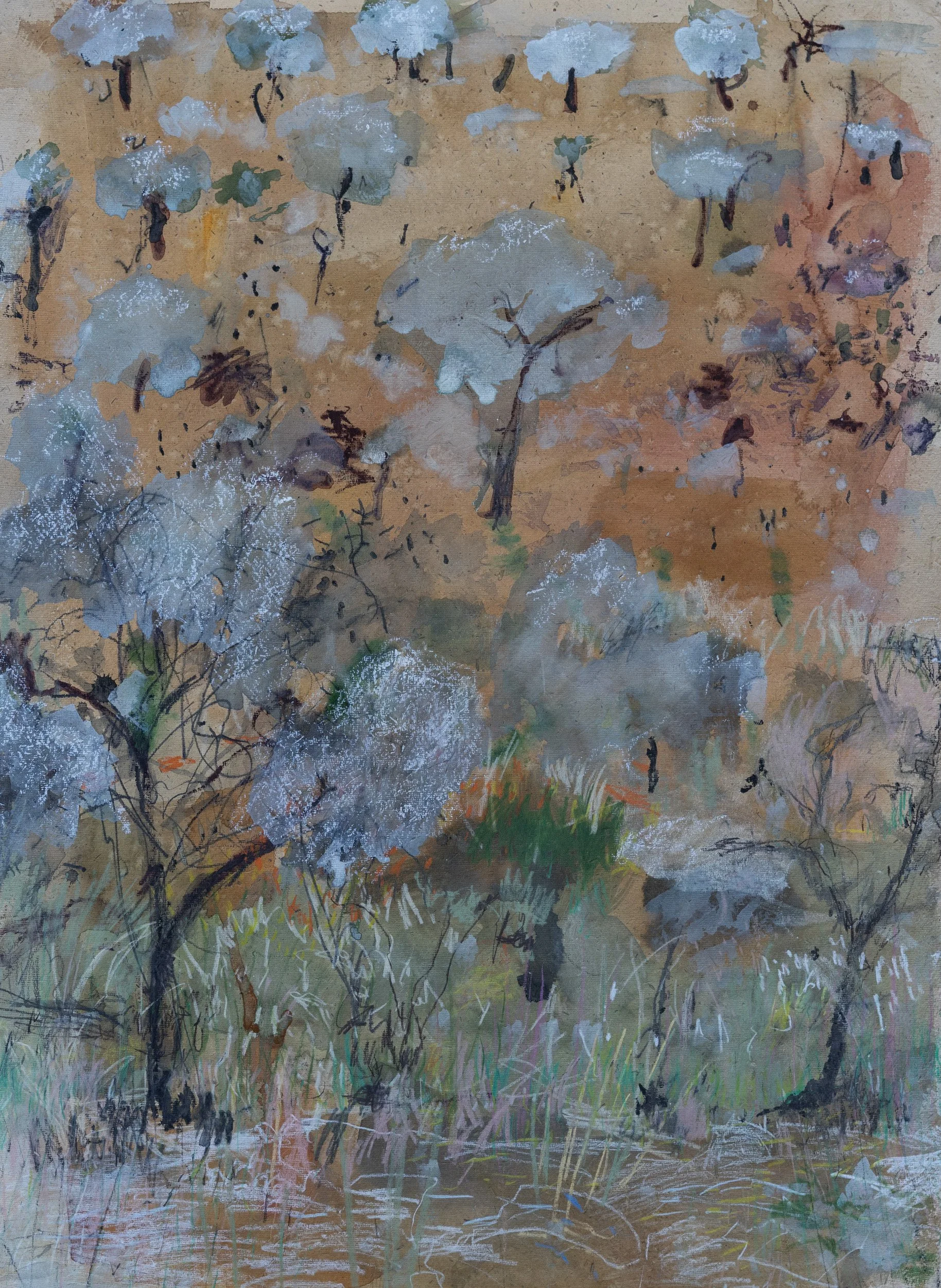 Lelliott Bimbowrie Dawn-2.jpg