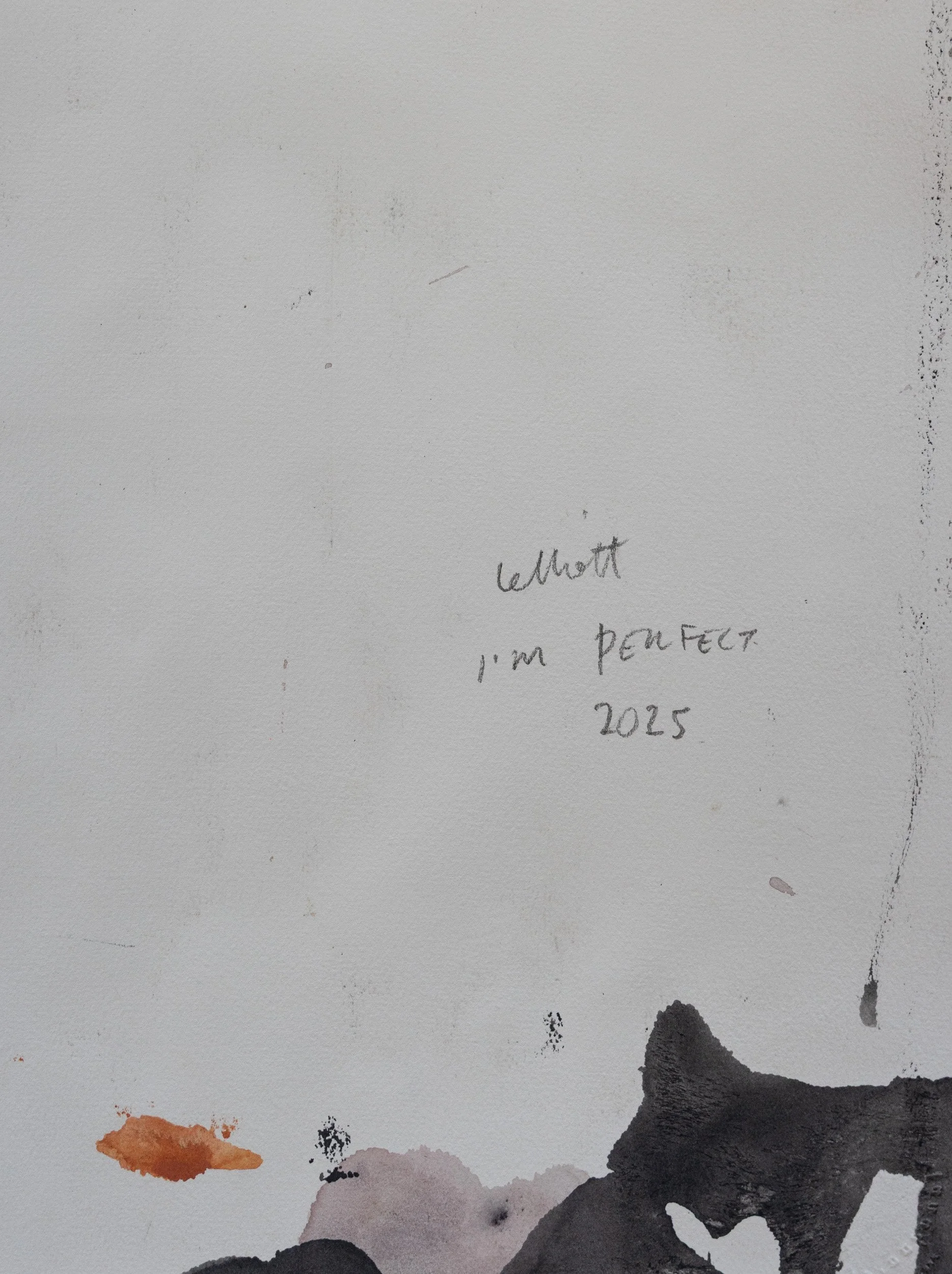 Lelliott I'm Perfect-1.jpg