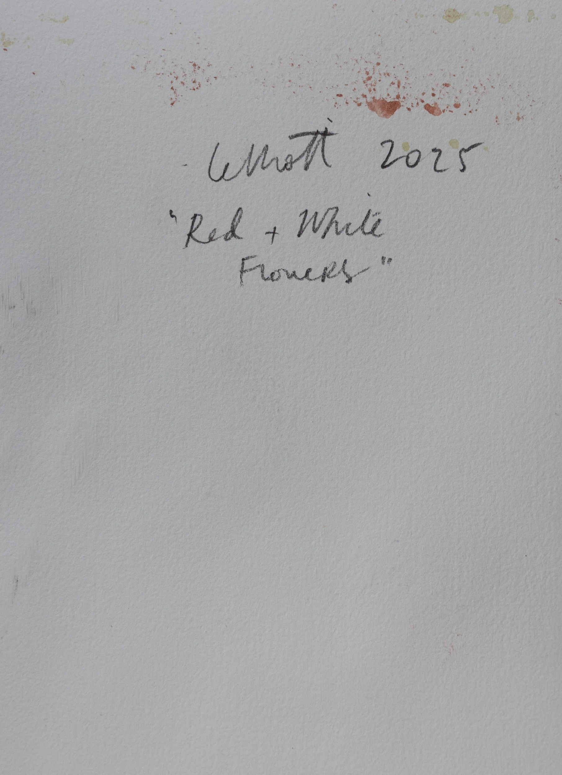 Lelliott Red White-1.jpg