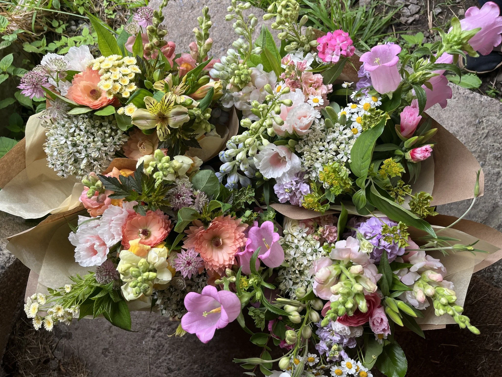 2026 - Spring Flower CSA Subscription