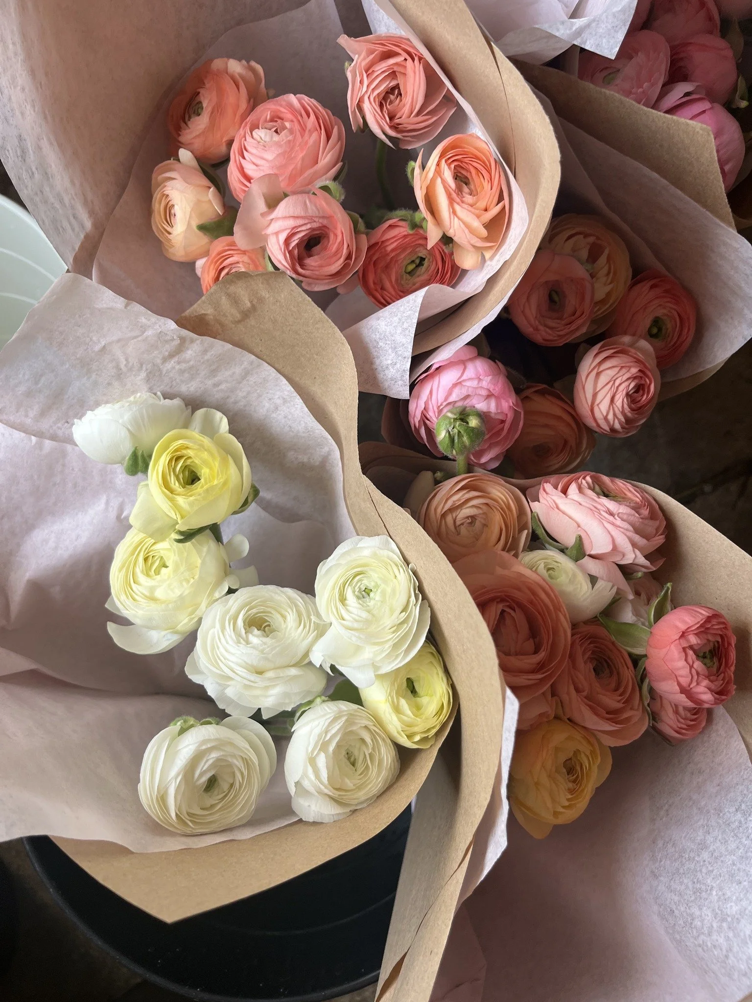 ranunculus-spring.jpg