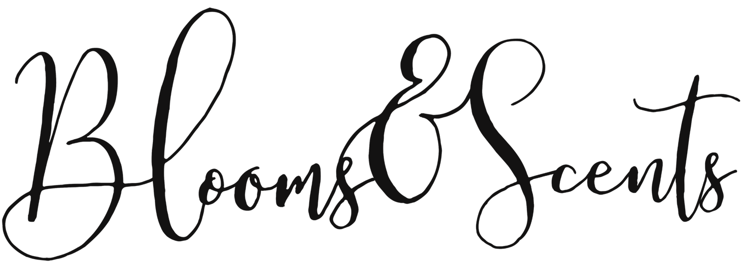 Blooms &amp; Scents Floral Studio Sydney