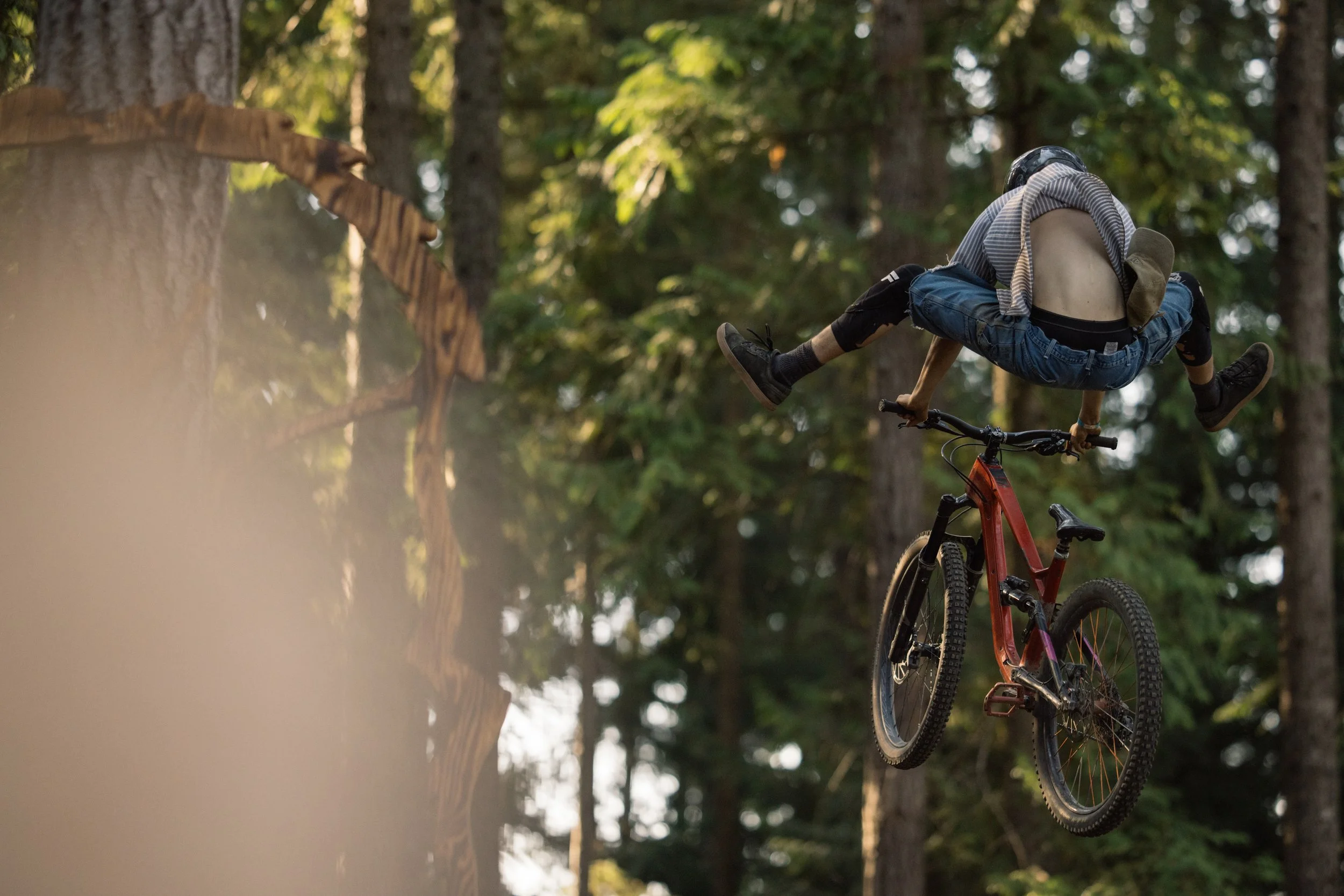 RobPerry_Arbutus_August 04, 2025_1-10.jpg