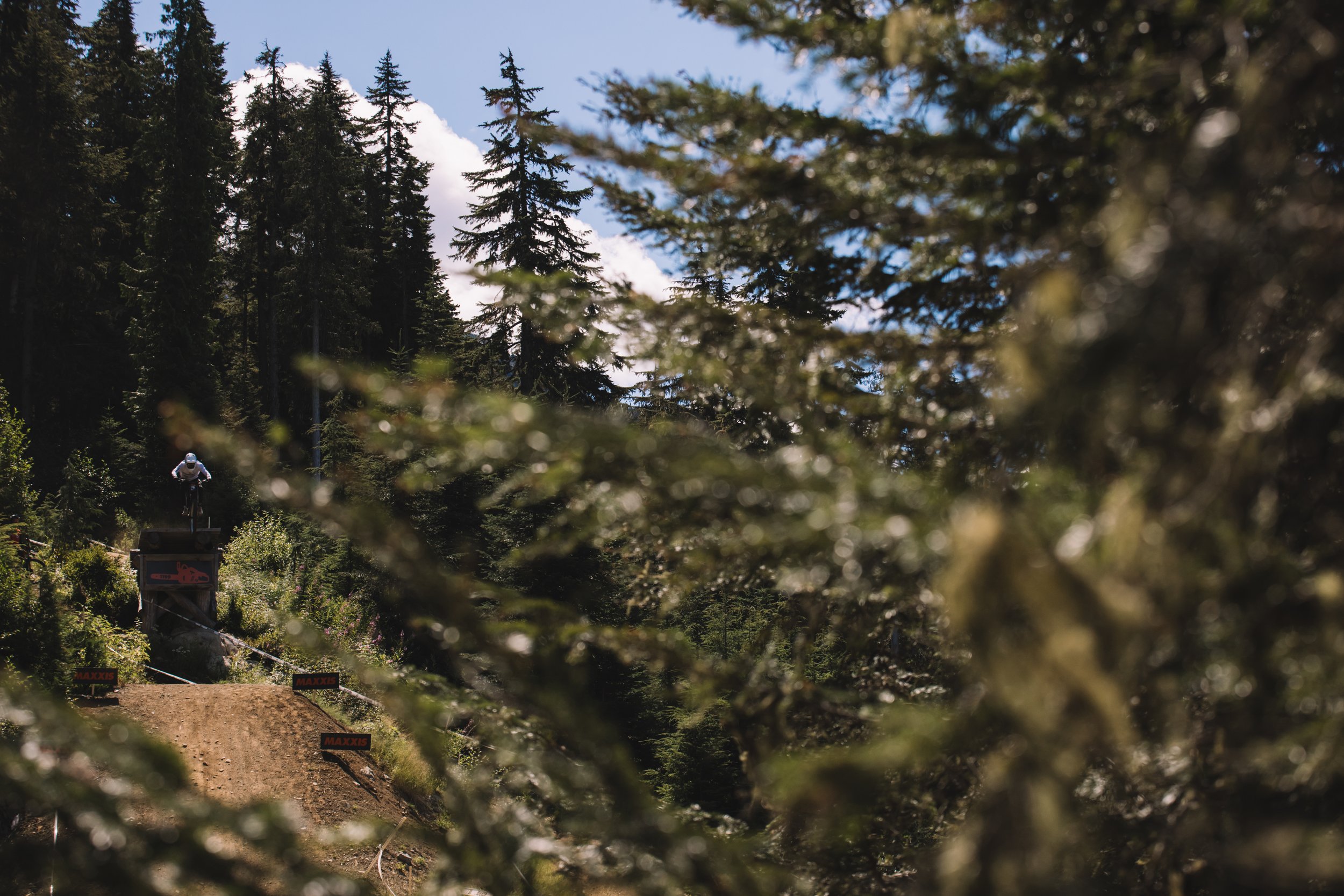 RobPerry_Arbutus_August 14, 2025_1-10.jpg