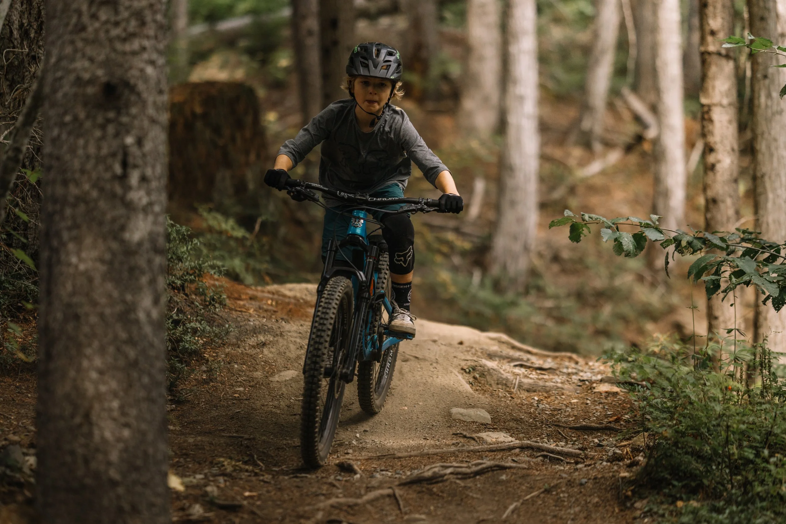 RobPerry_Arbutus_September 02, 2025_1-9.jpg