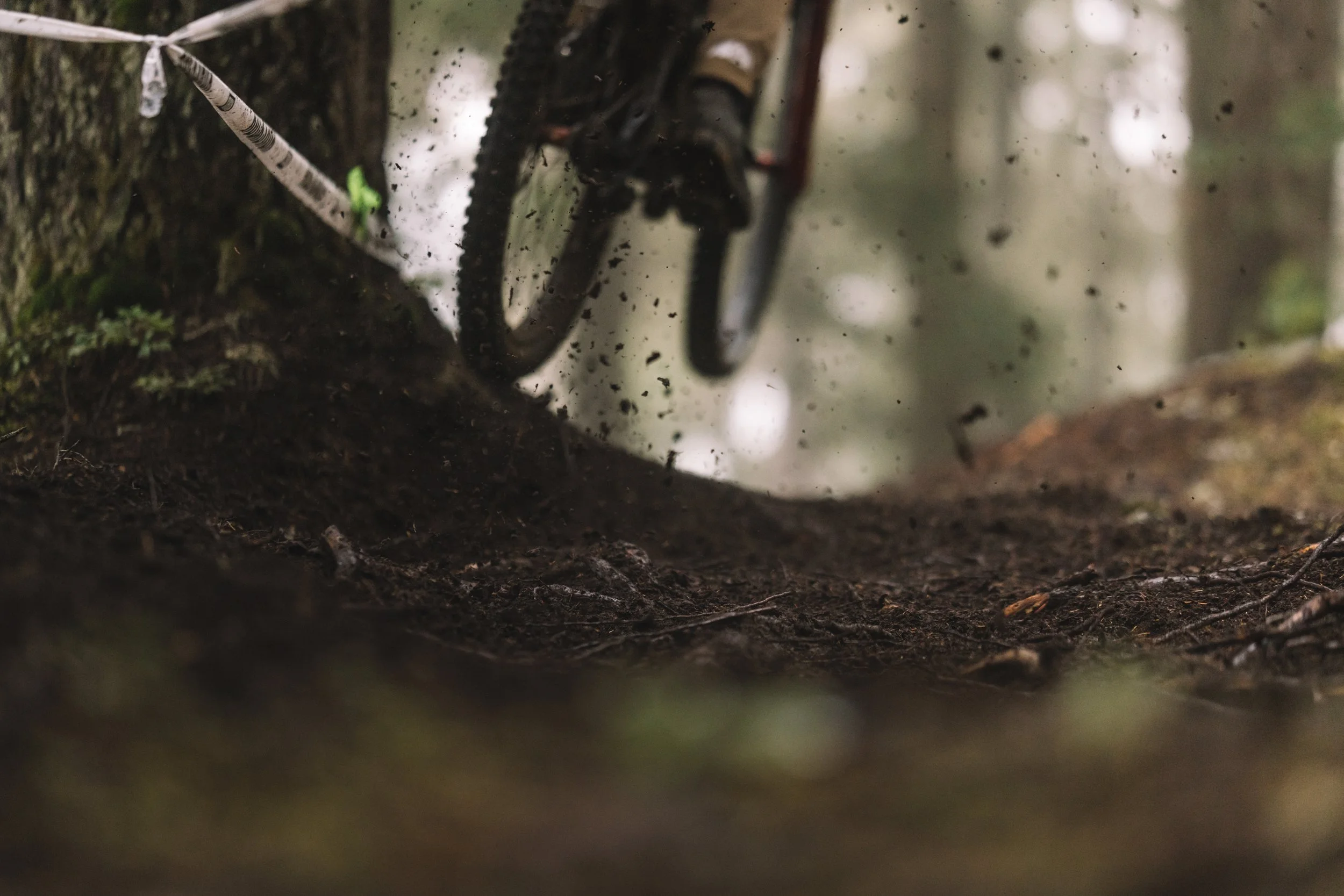 RobPerry_Arbutus_August 17, 2025_1-2.jpg