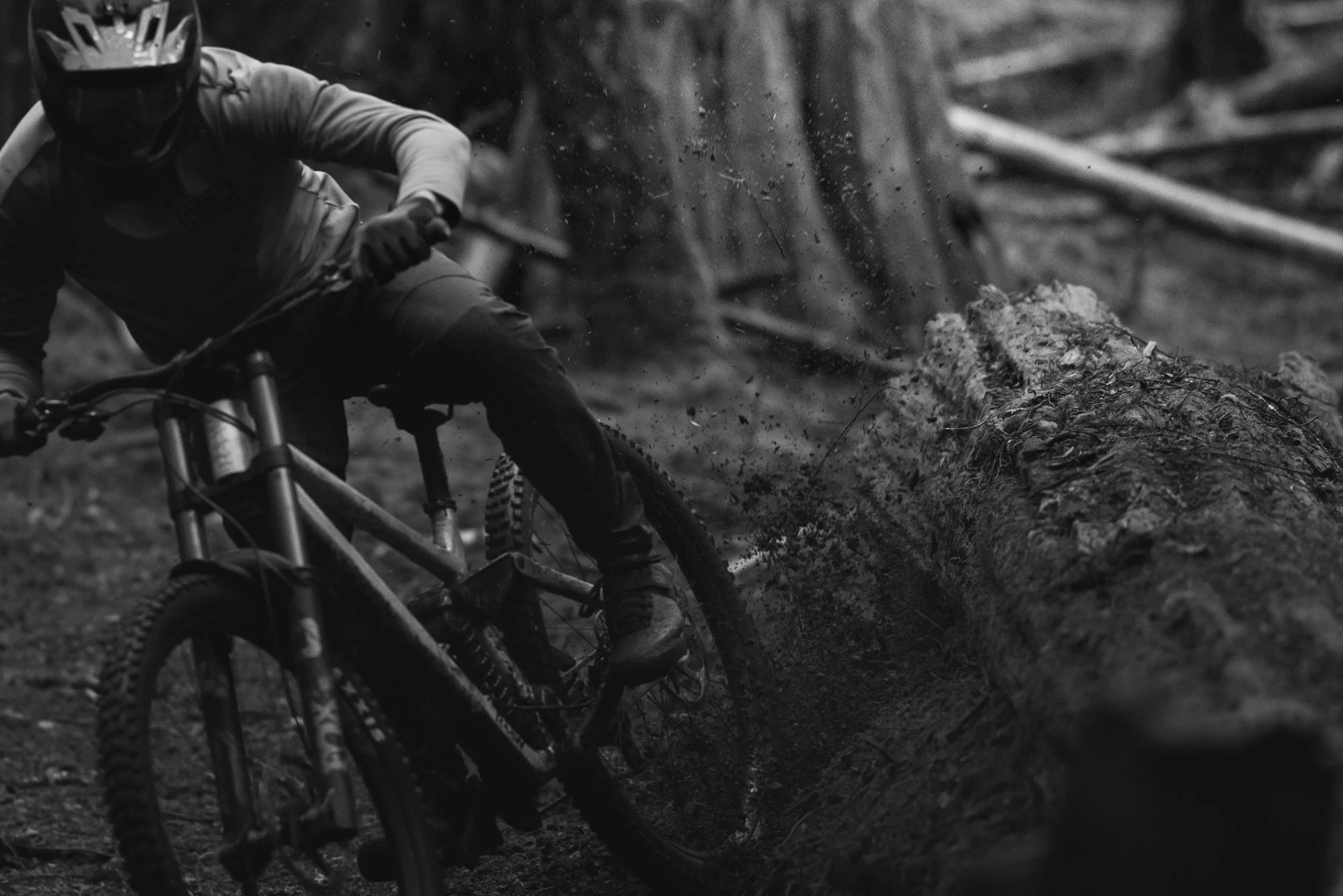 RobPerry_Arbutus_July 15, 2025_1-8.jpg