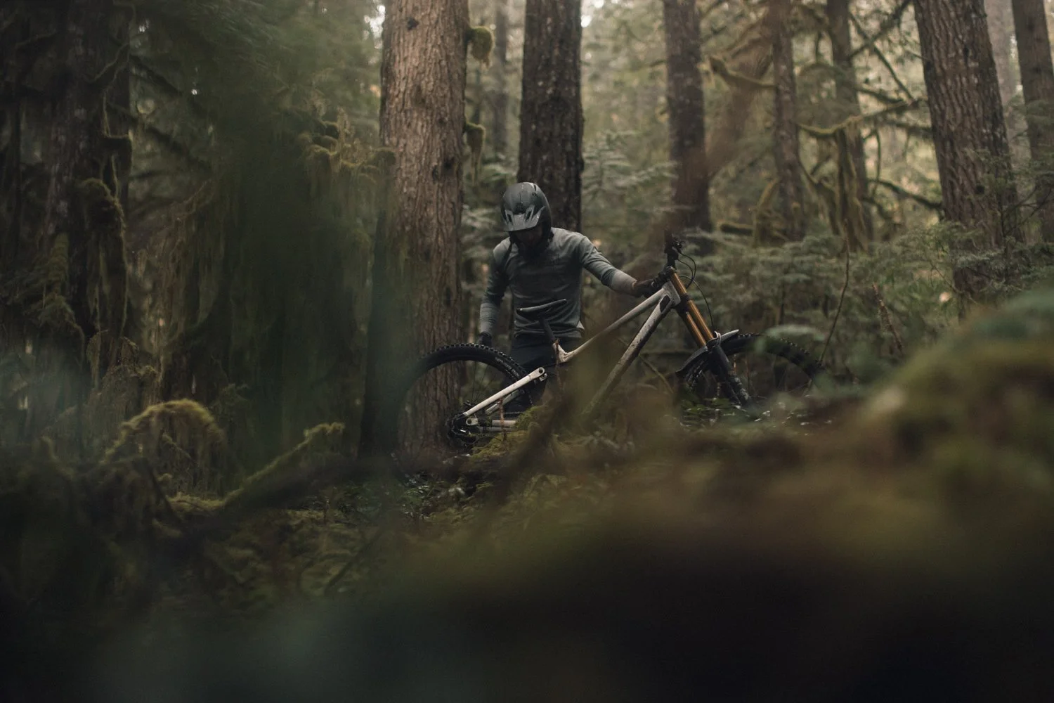 RobPerry_Arbutus_April 30, 2025_1.jpg