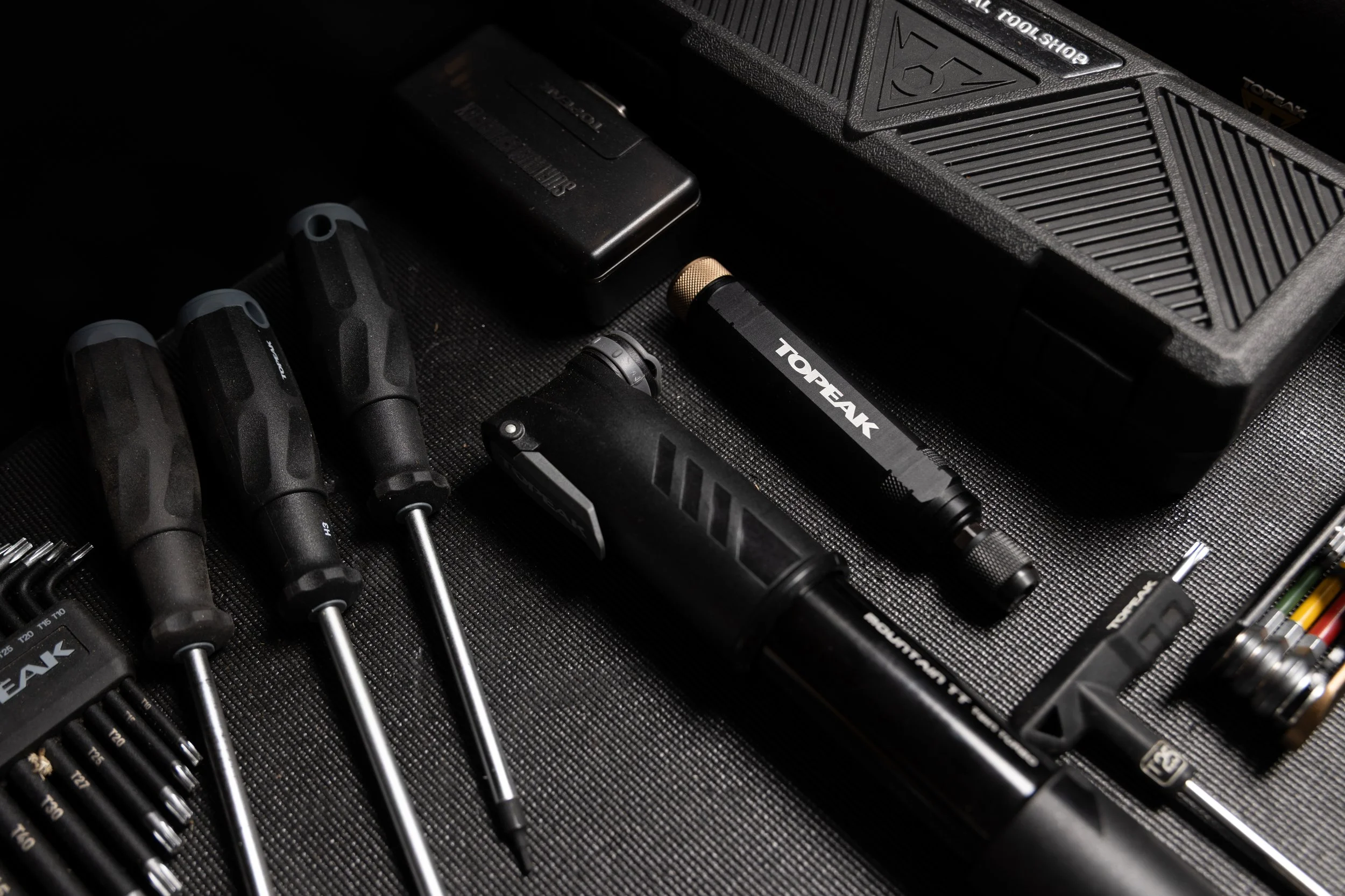 RobPerry_Arbutus_September 21, 2025_1-8.jpg