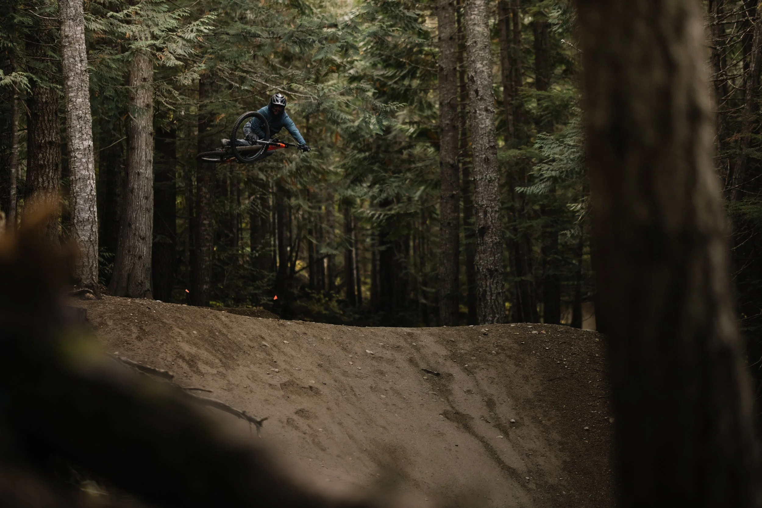 RobPerry_Arbutus_October 10, 2025_1-2.jpg