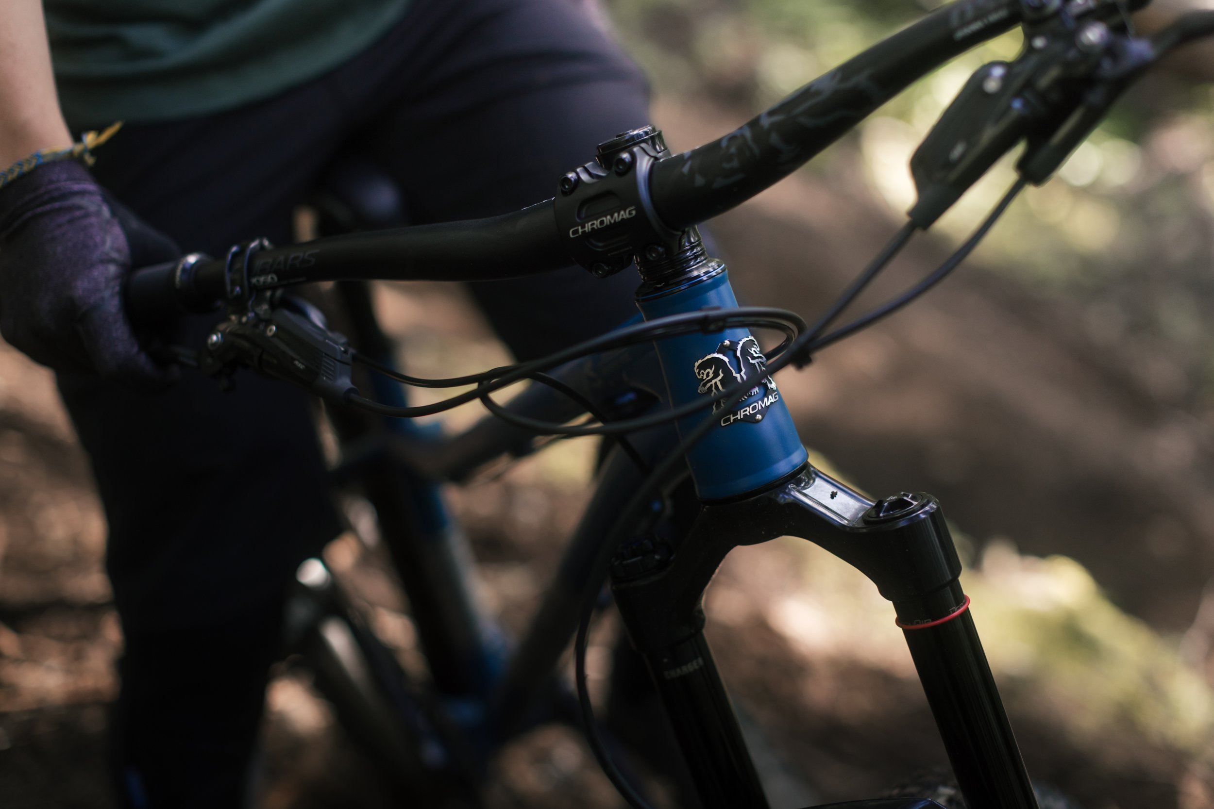 RobPerry_Arbutus_July 15, 2025_1-4.jpg