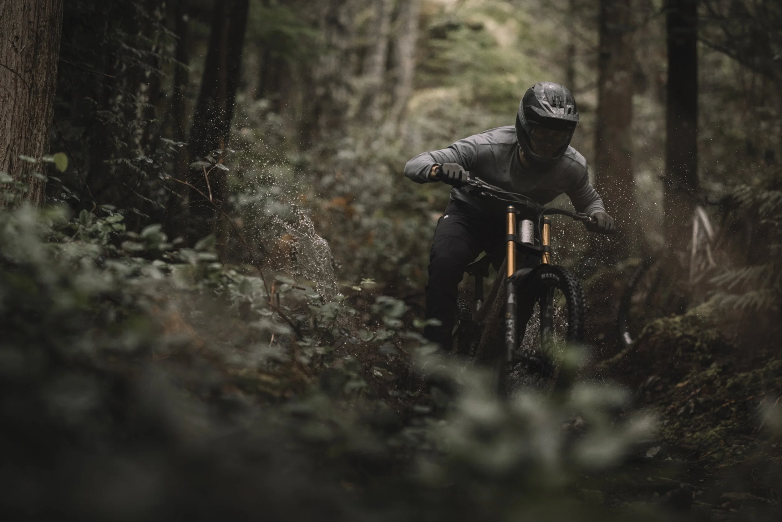 RobPerry_Arbutus_July 18, 2025_1-4.jpg