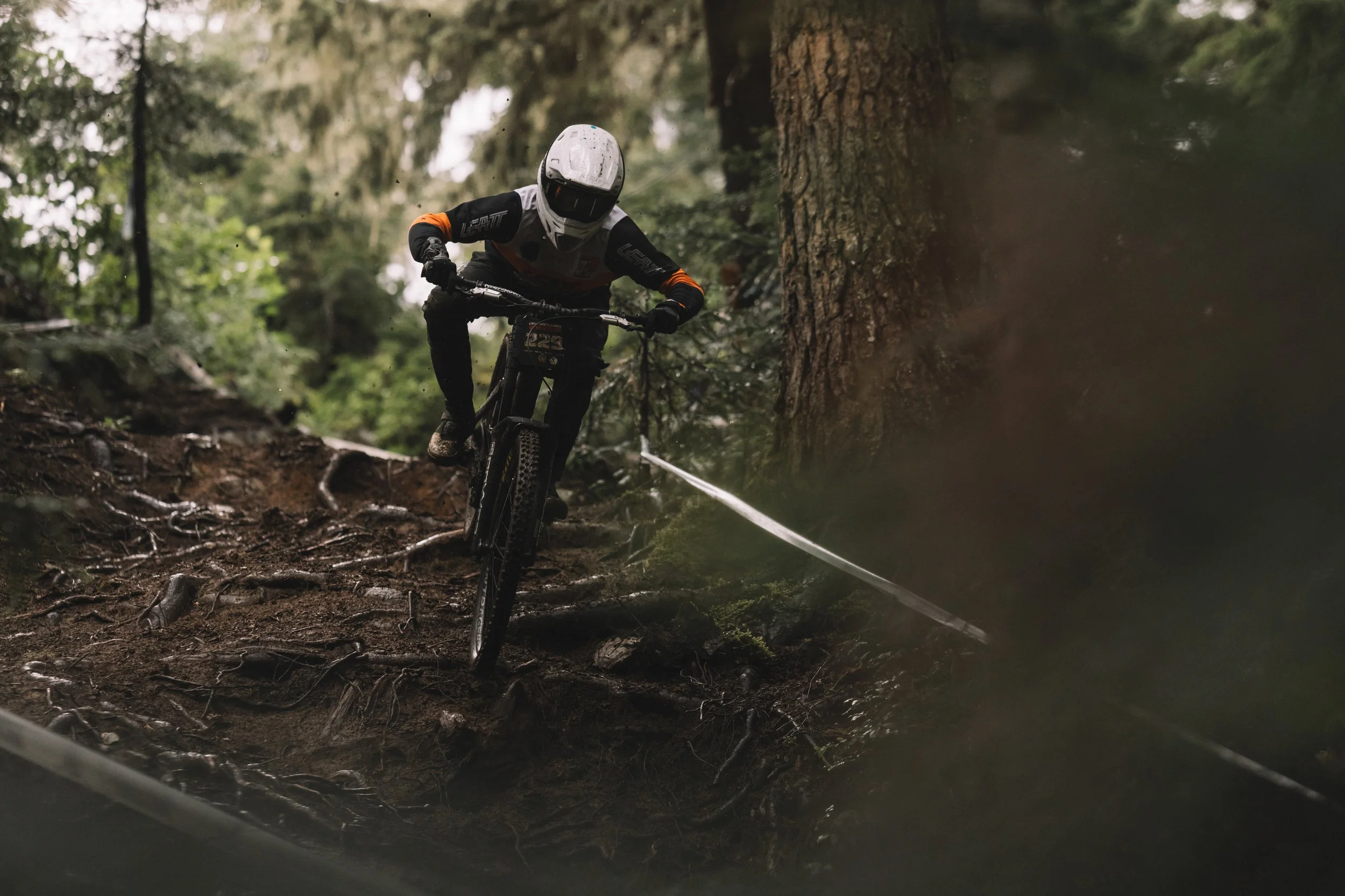 RobPerry_Arbutus_August 17, 2025_1-6.jpg