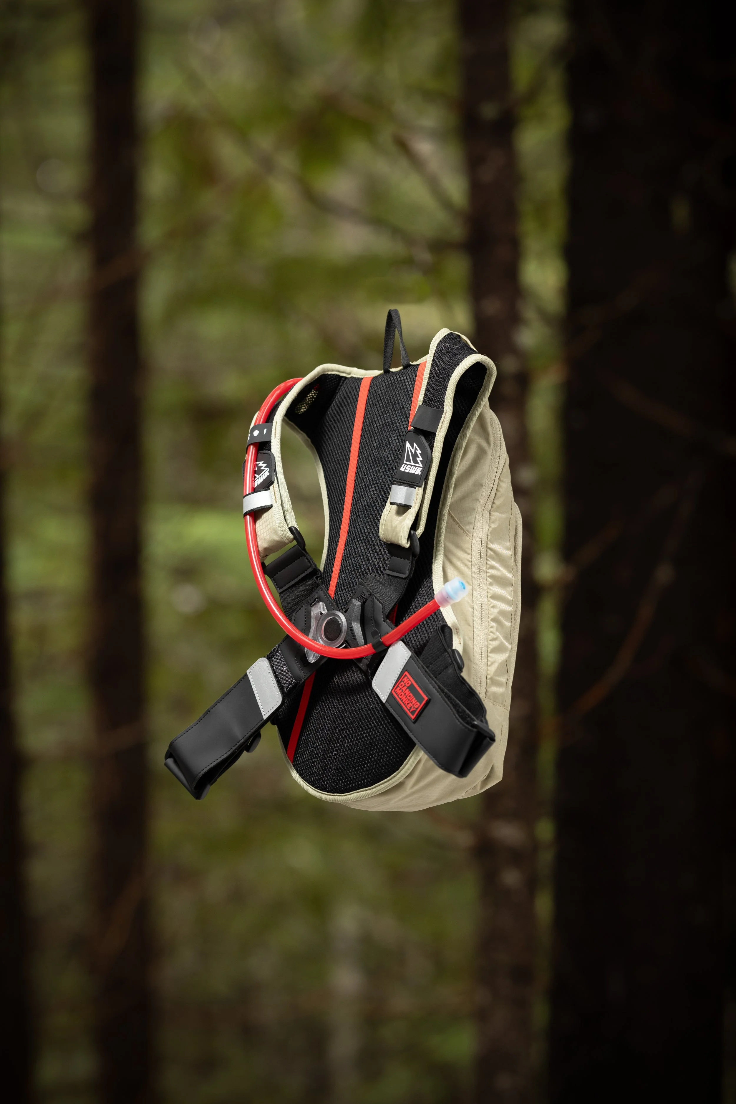 RobPerry_Arbutus_February 26, 2025_1-3.jpg