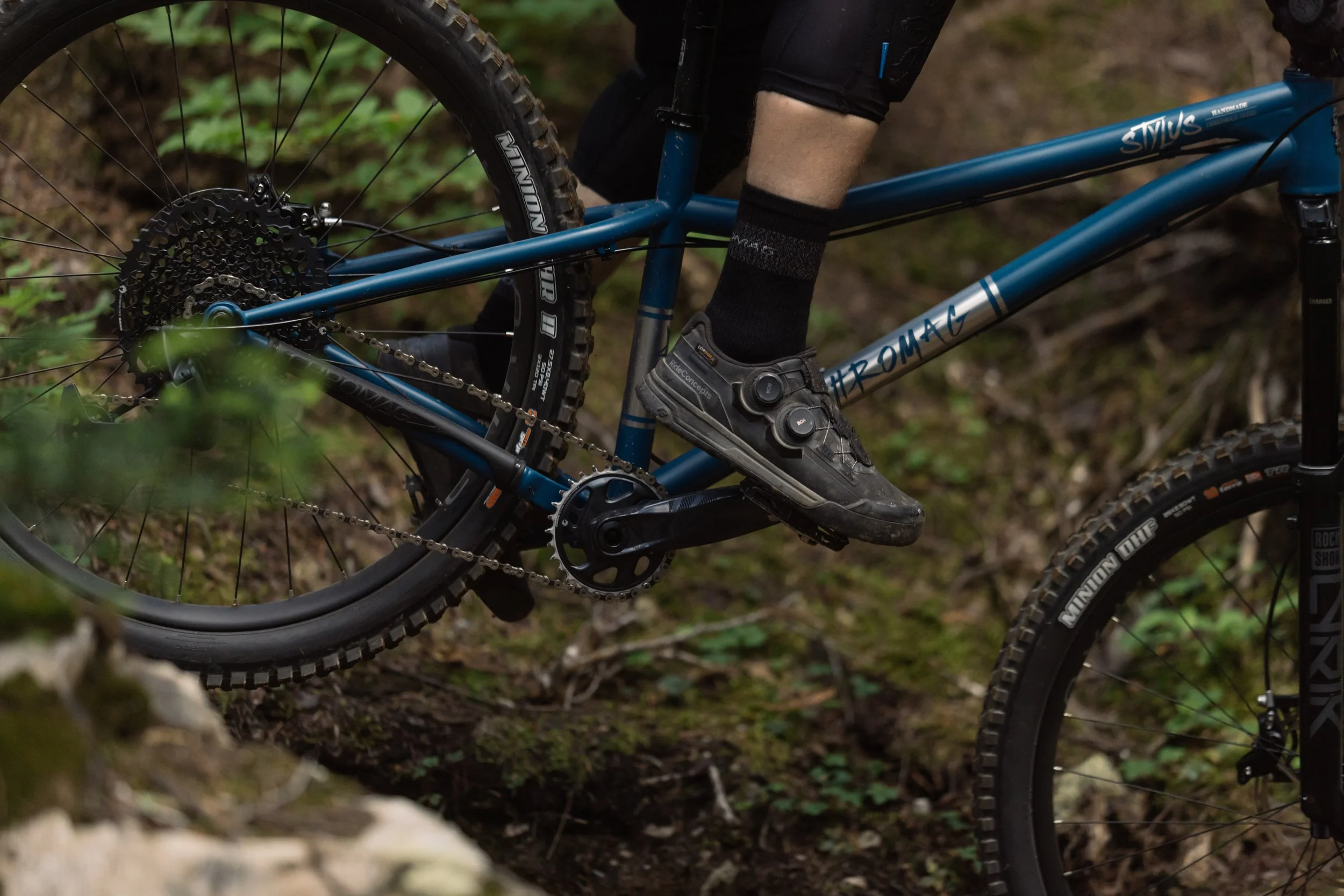 RobPerry_Arbutus_July 15, 2025_1-2.jpg