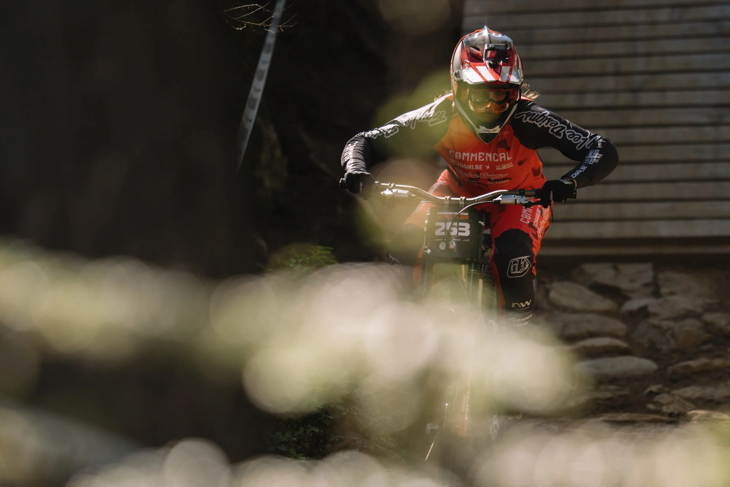 RobPerry_Arbutus_August 14, 2025_1-4.jpg