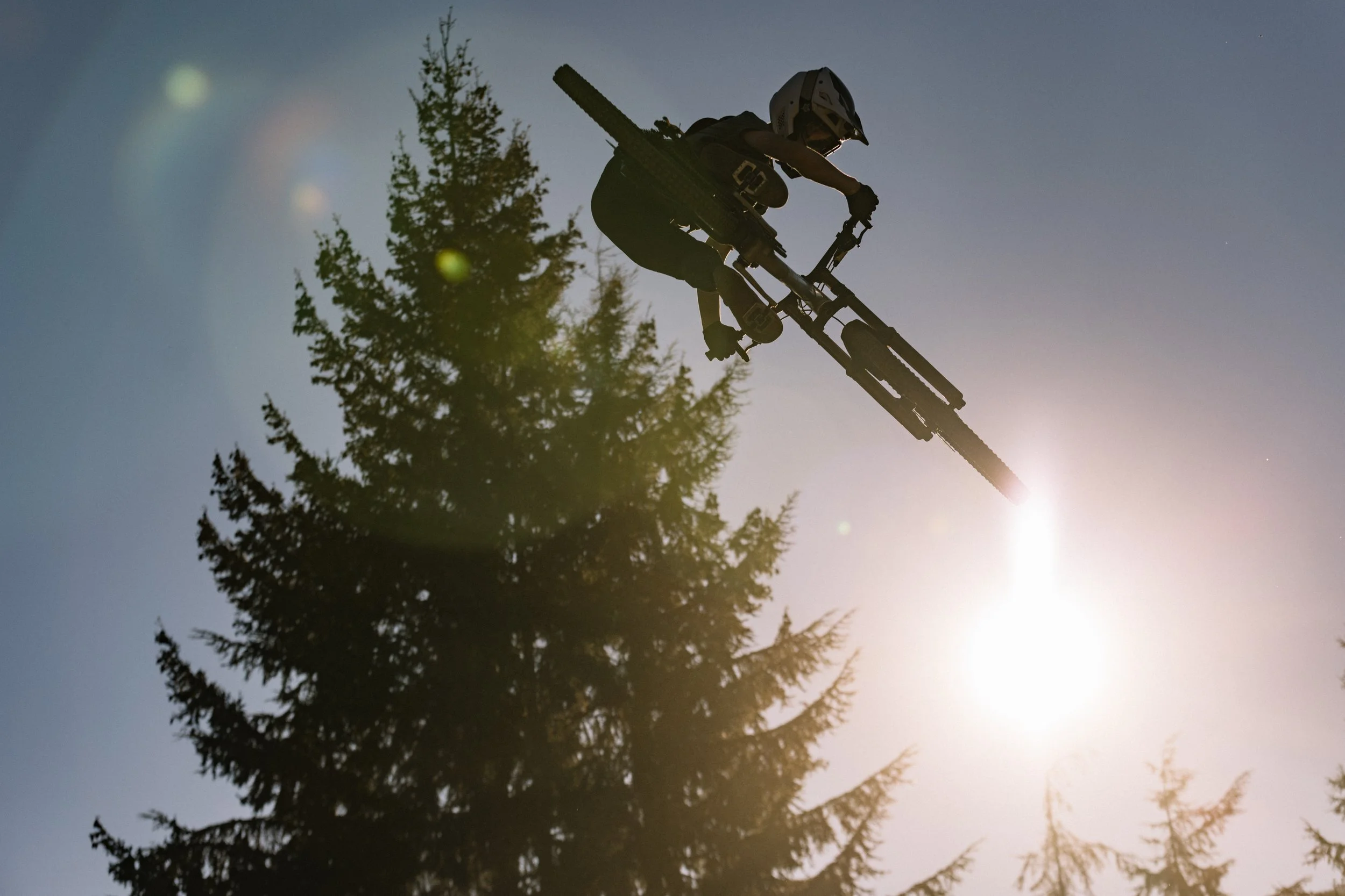 RobPerry_Arbutus_August 14, 2025_1-3.jpg