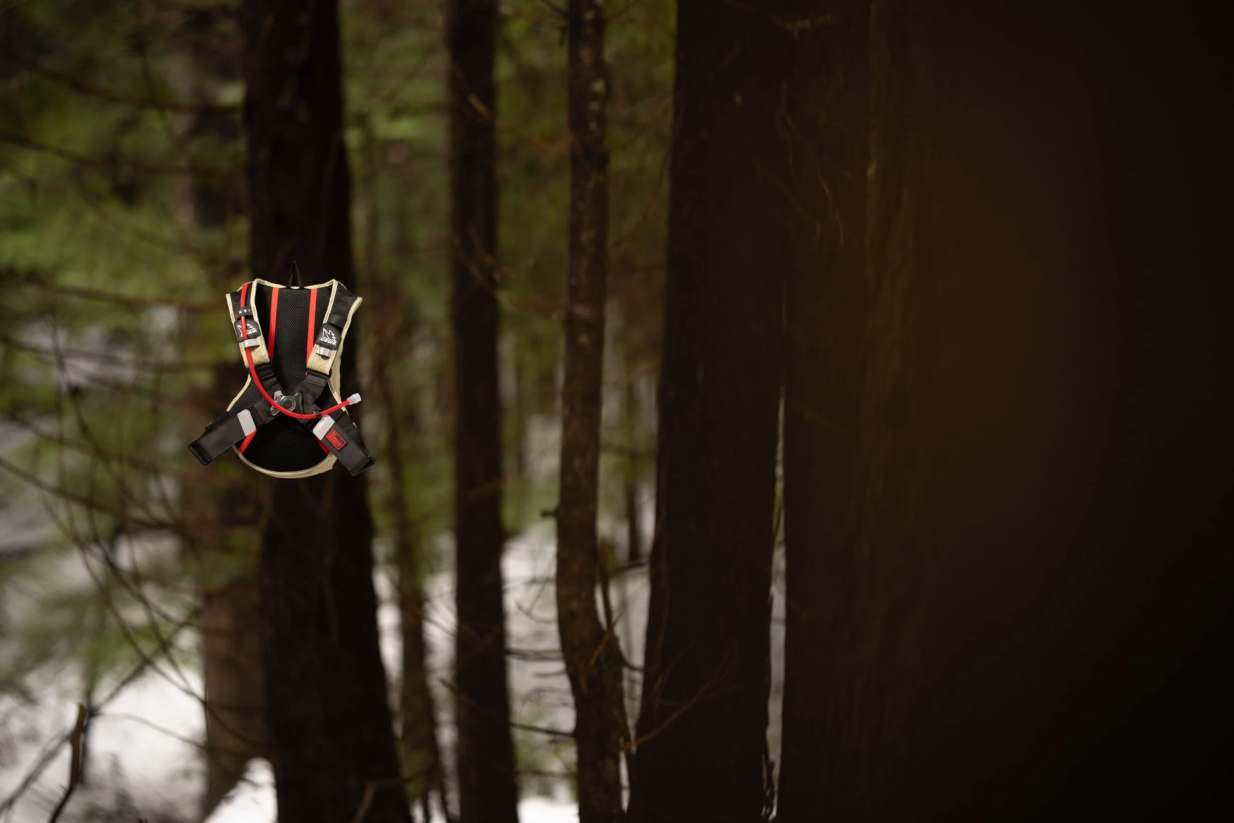 RobPerry_Arbutus_February 26, 2025_1-6.jpg