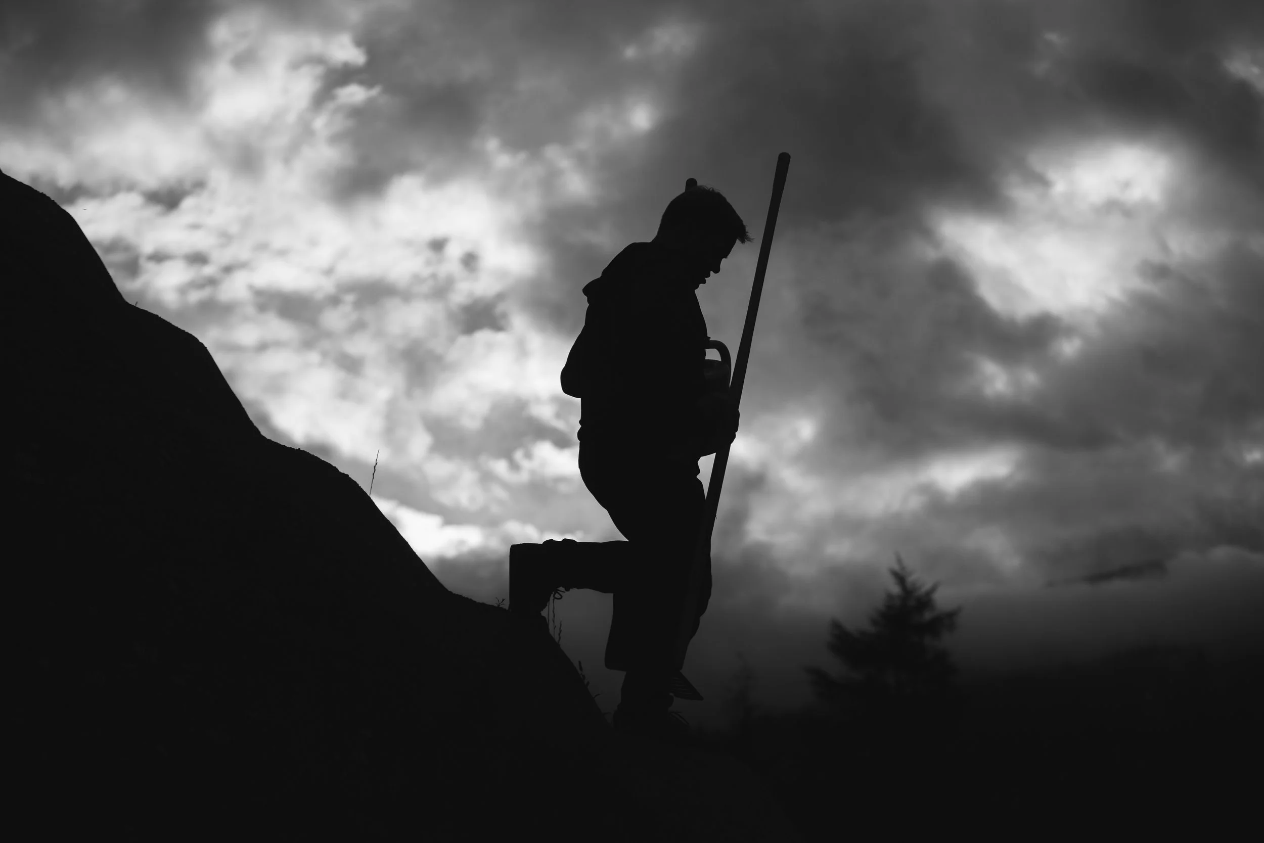 RobPerry_Arbutus_August 18, 2025_1-3.jpg