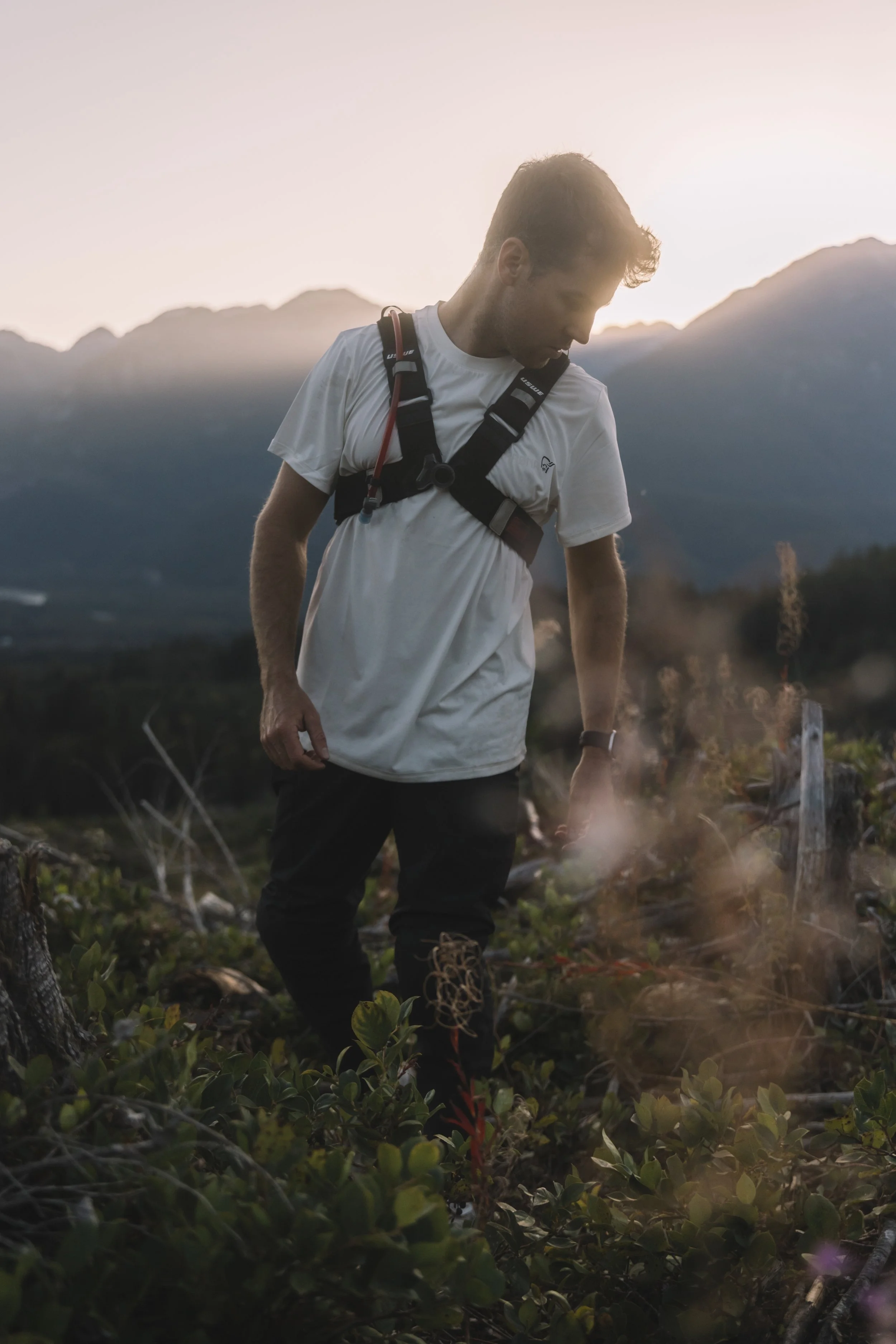 RobPerry_Arbutus_September 21, 2025_1-3.jpg