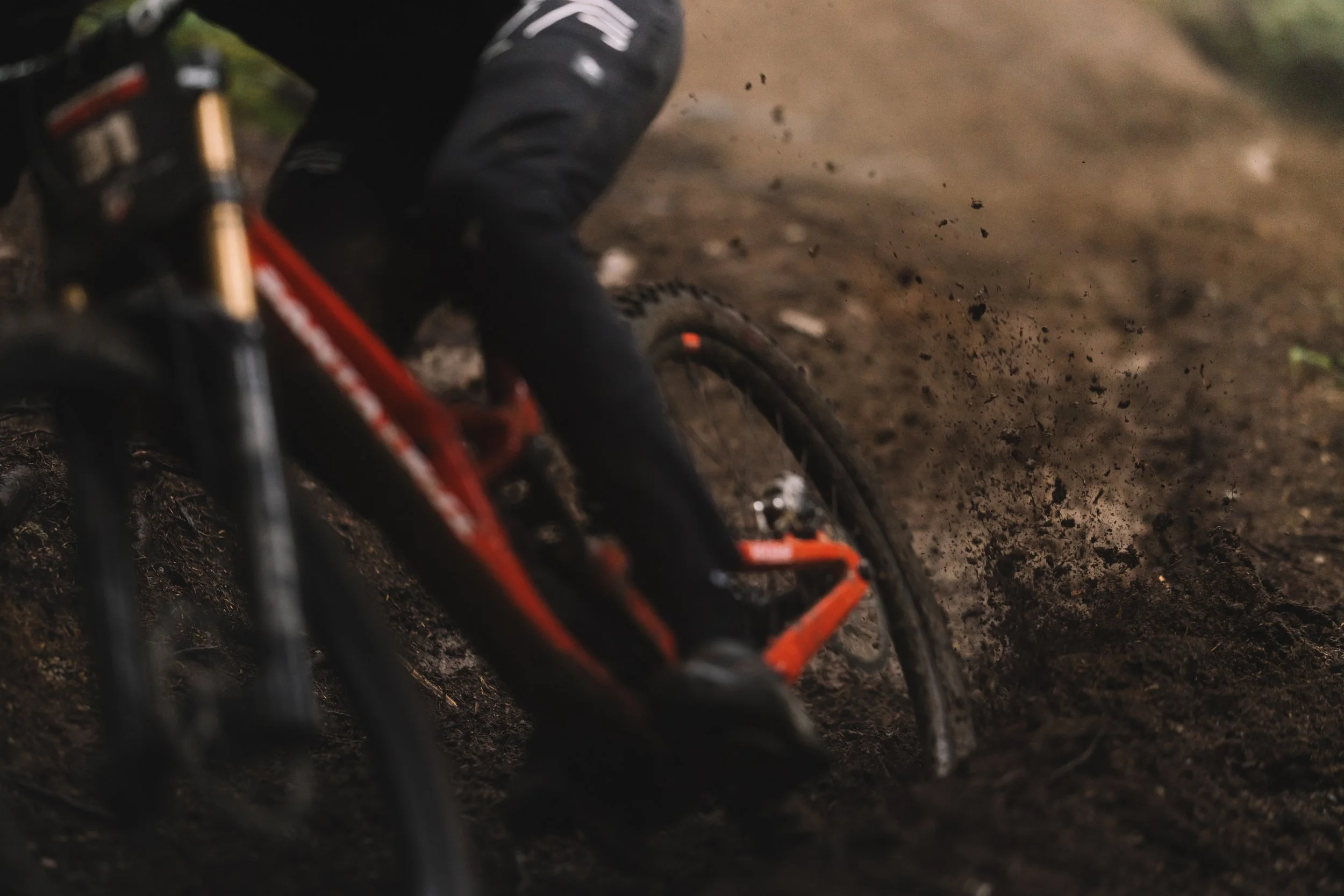 RobPerry_Arbutus_August 17, 2025_1.jpg