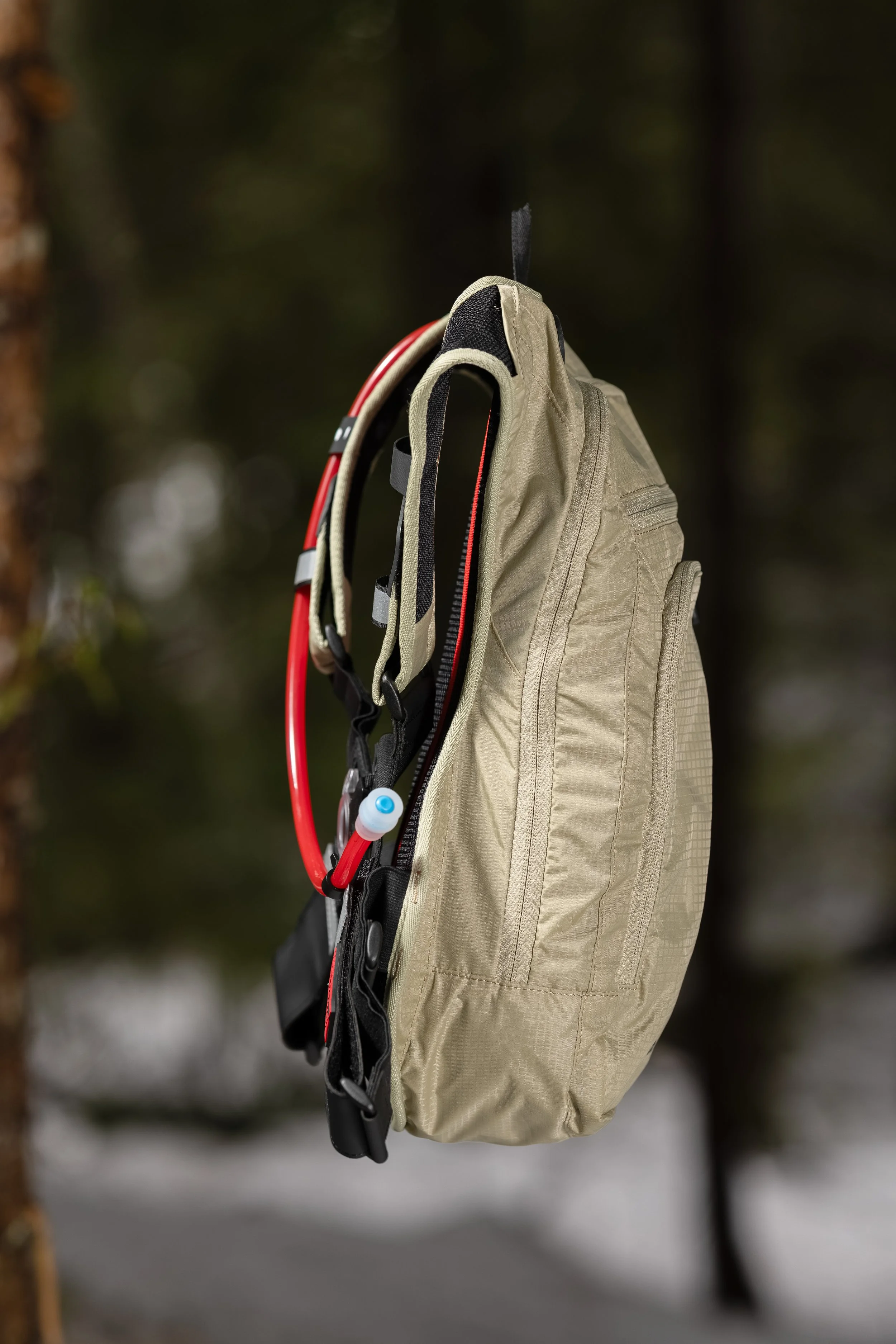 RobPerry_Arbutus_February 26, 2025_1-2.jpg