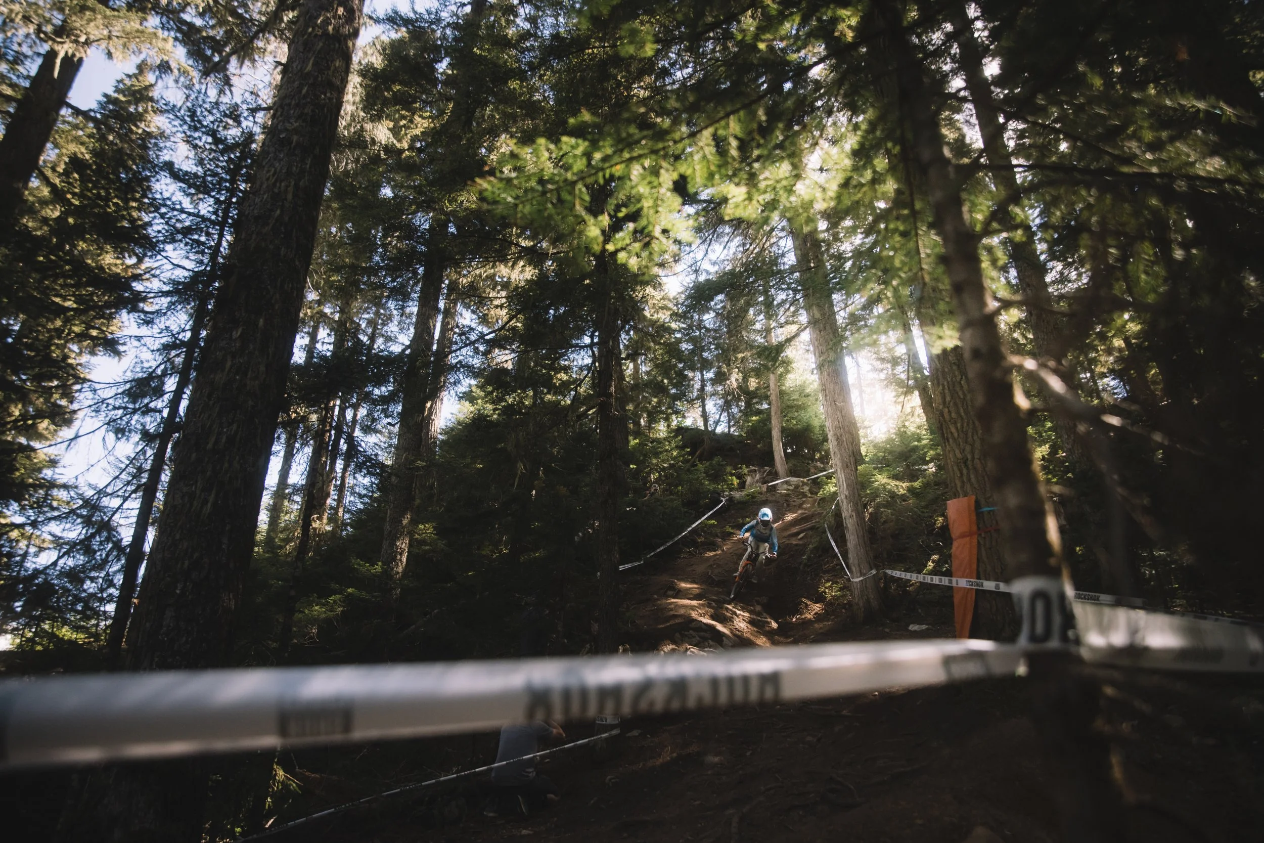 RobPerry_Arbutus_August 14, 2025_1-5.jpg