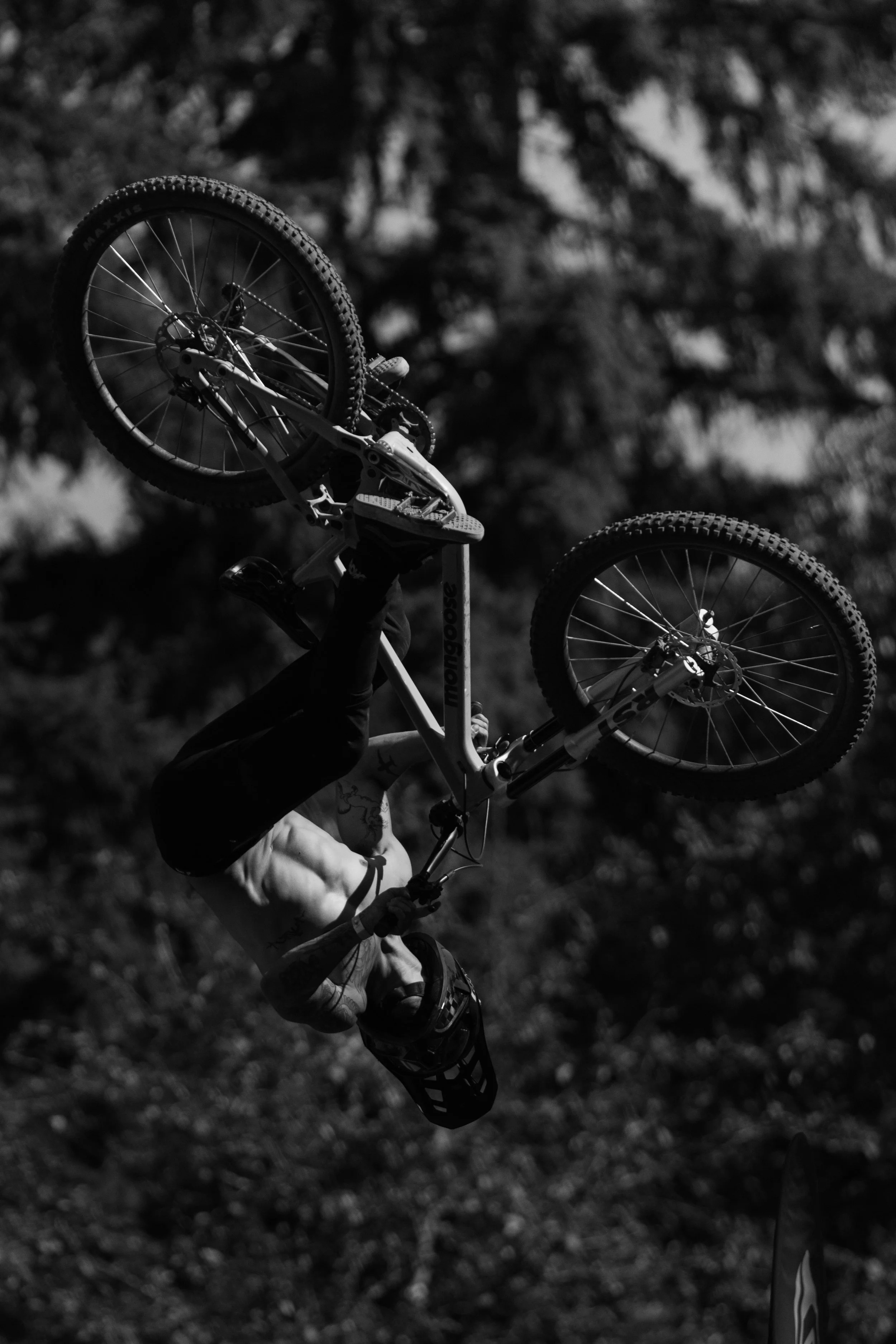 RobPerry_Arbutus_August 04, 2025_1-2.jpg