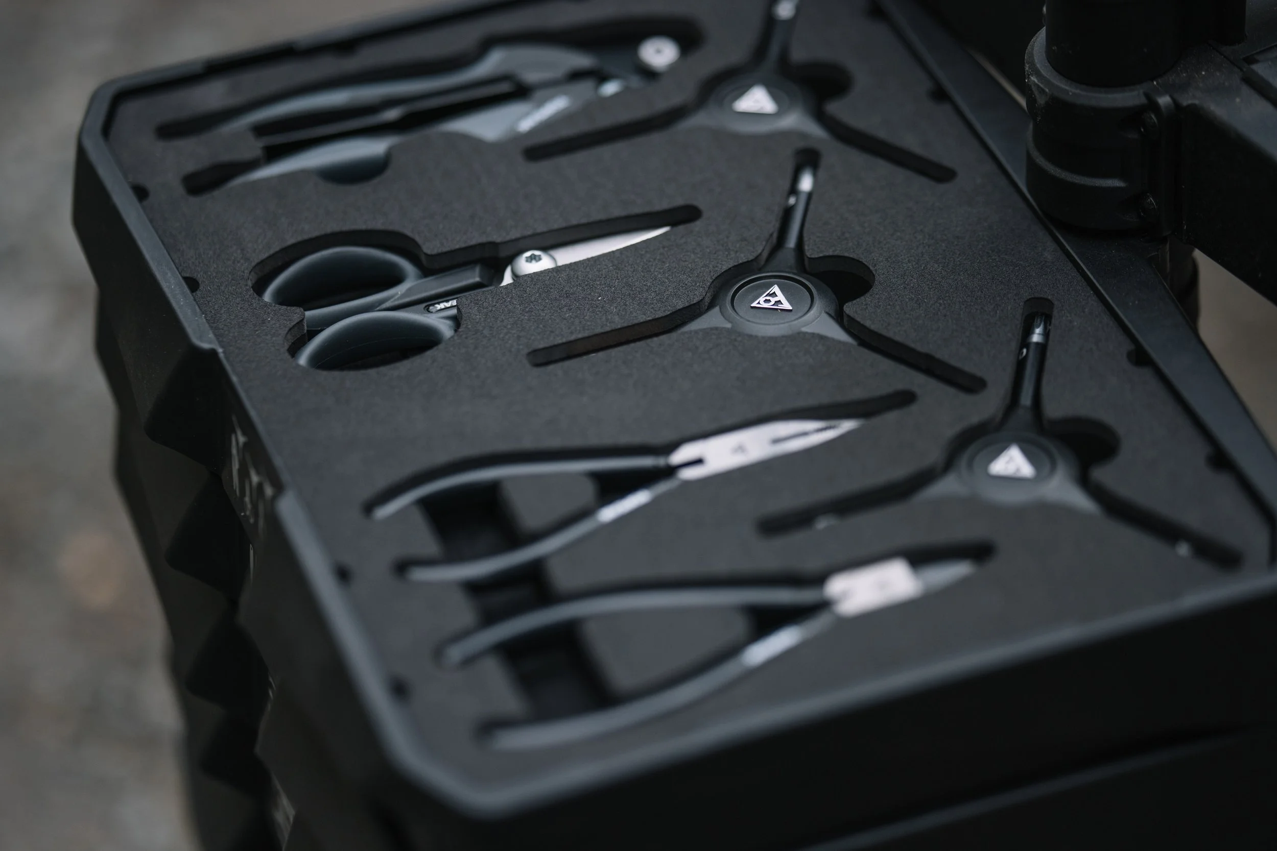 RobPerry_Arbutus_September 21, 2025_1-12.jpg